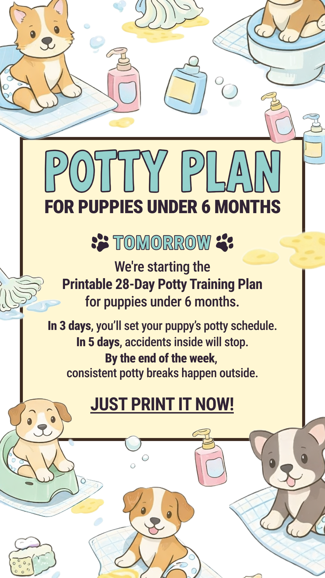 Woofz - Puppy Training Facebook ad