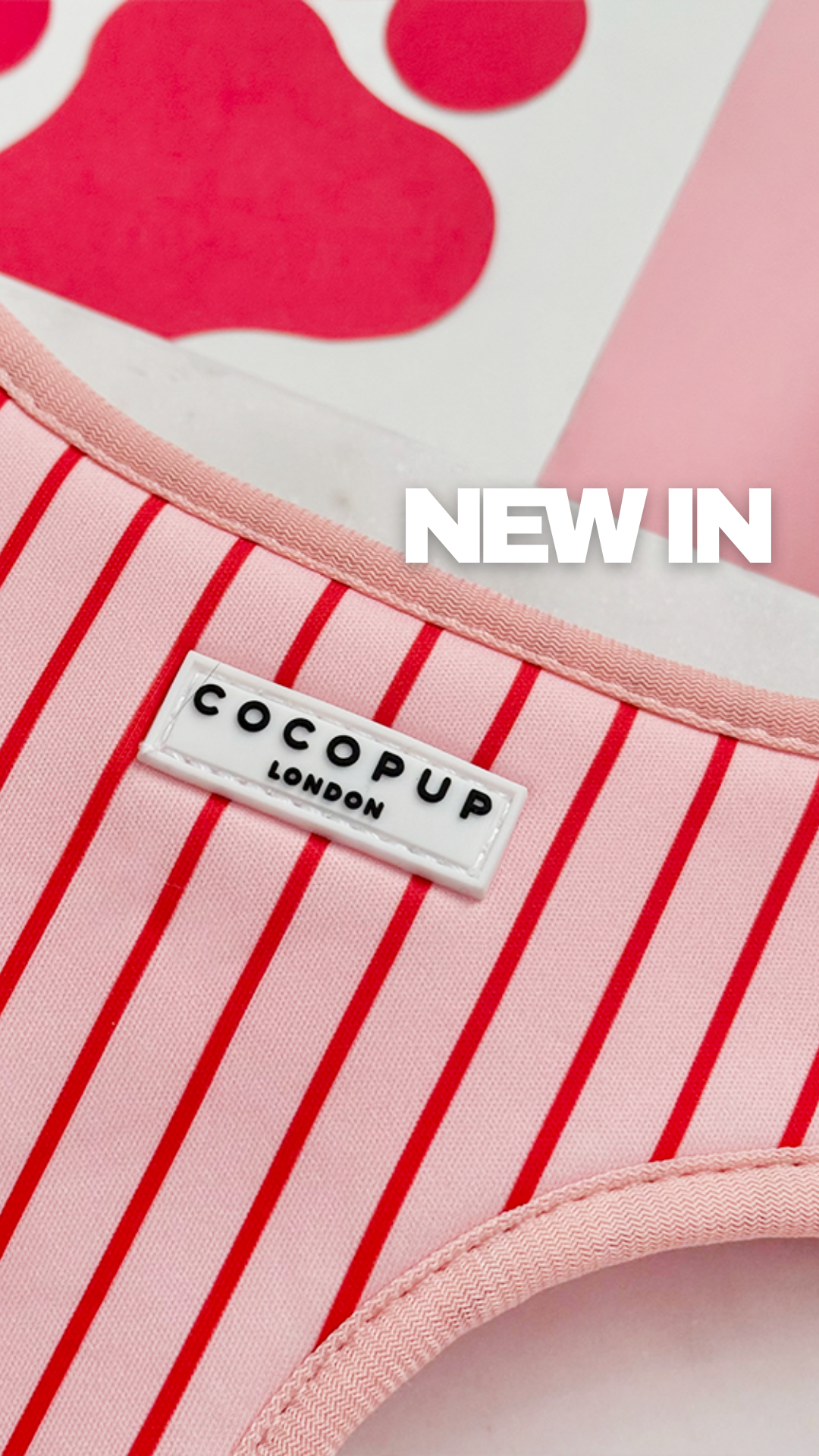 Cocopupuk Facebook ad