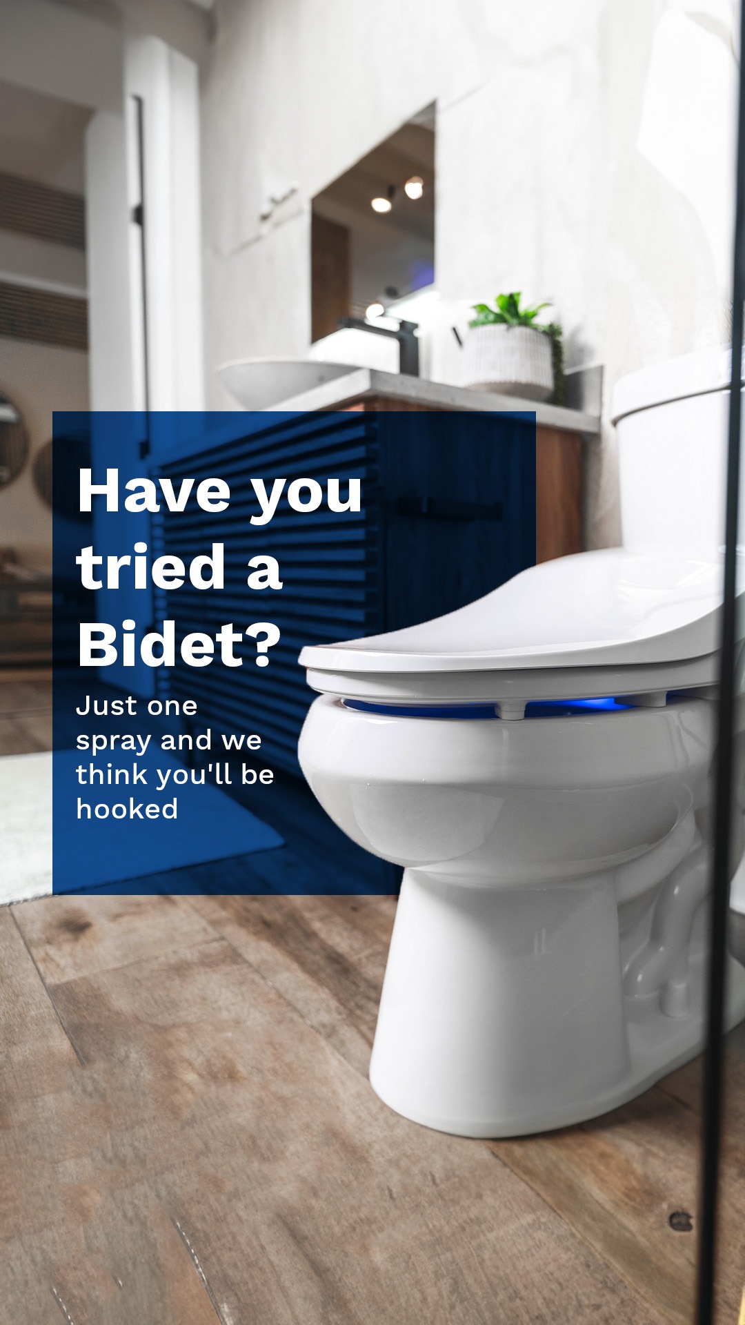 BioBidet by Bemis Facebook ad
