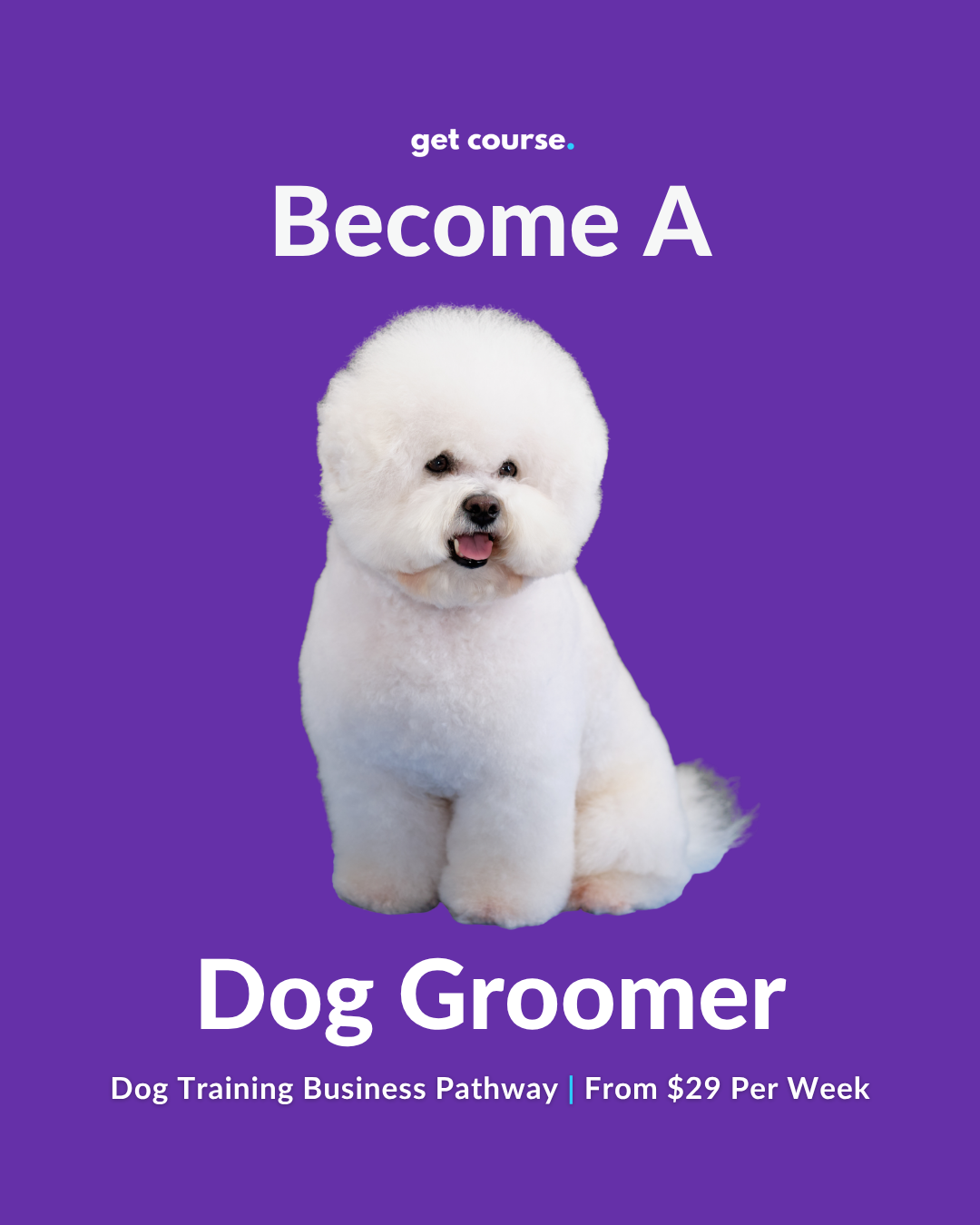 Get Course Co Facebook ad