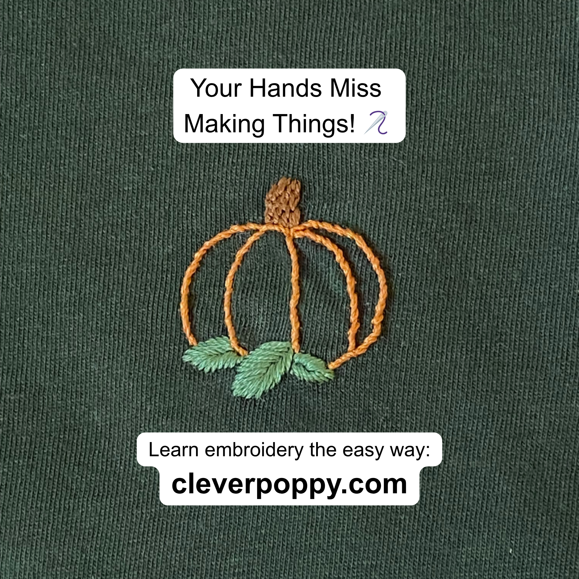 Clever Poppy Facebook ad