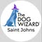 The Dog Wizard