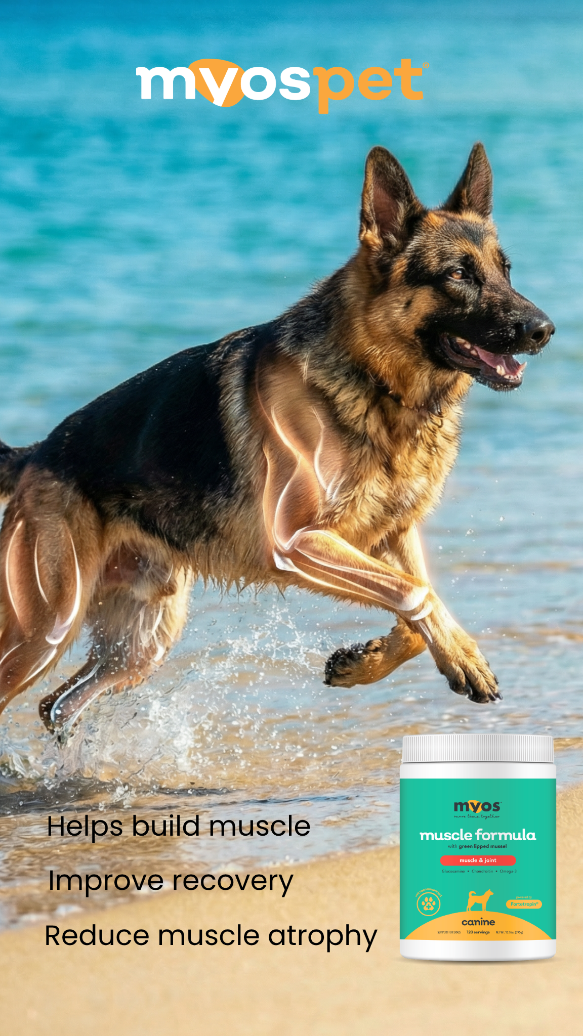 Myos Pet Products Facebook ad