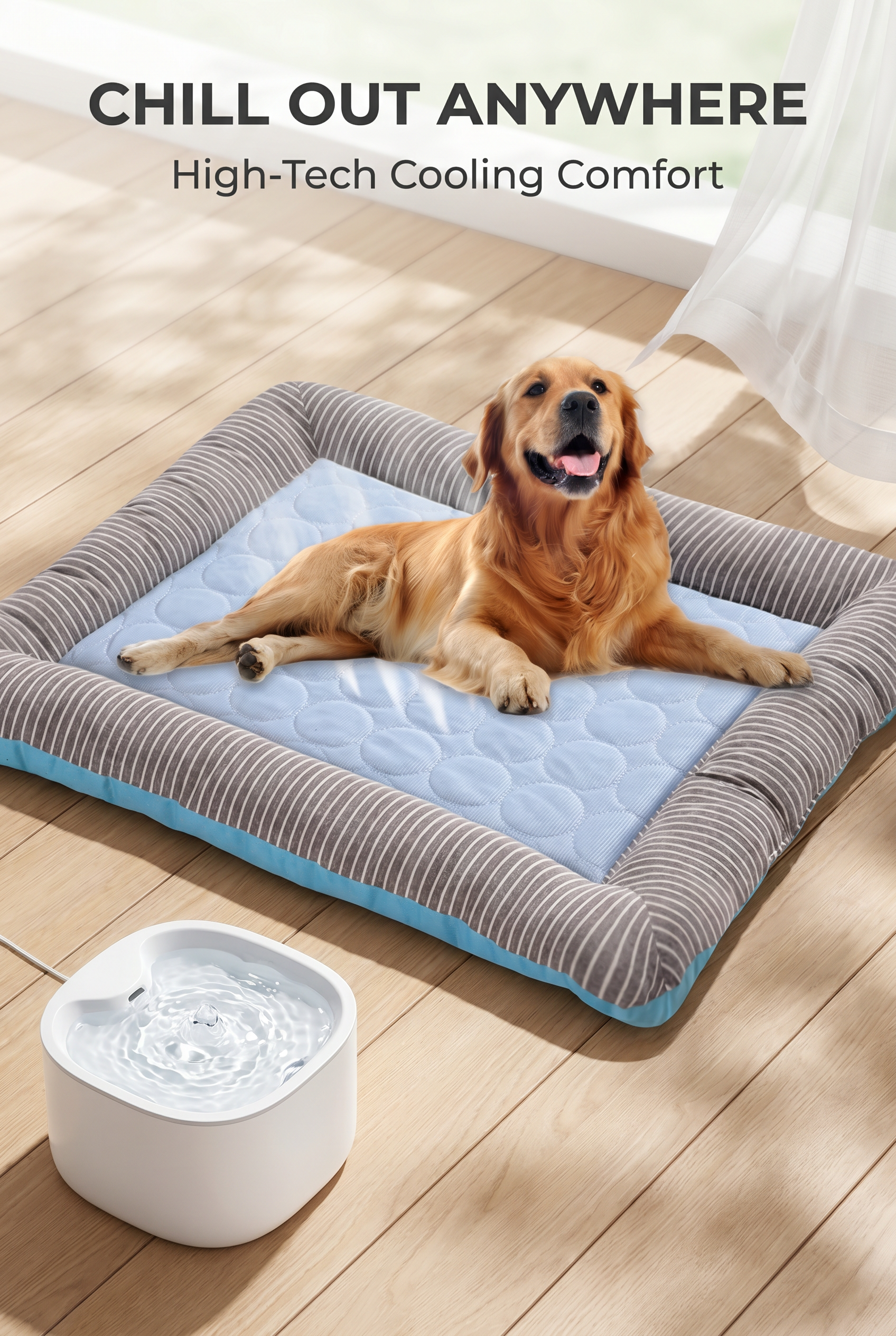 Zeely Marketplace Facebook ad