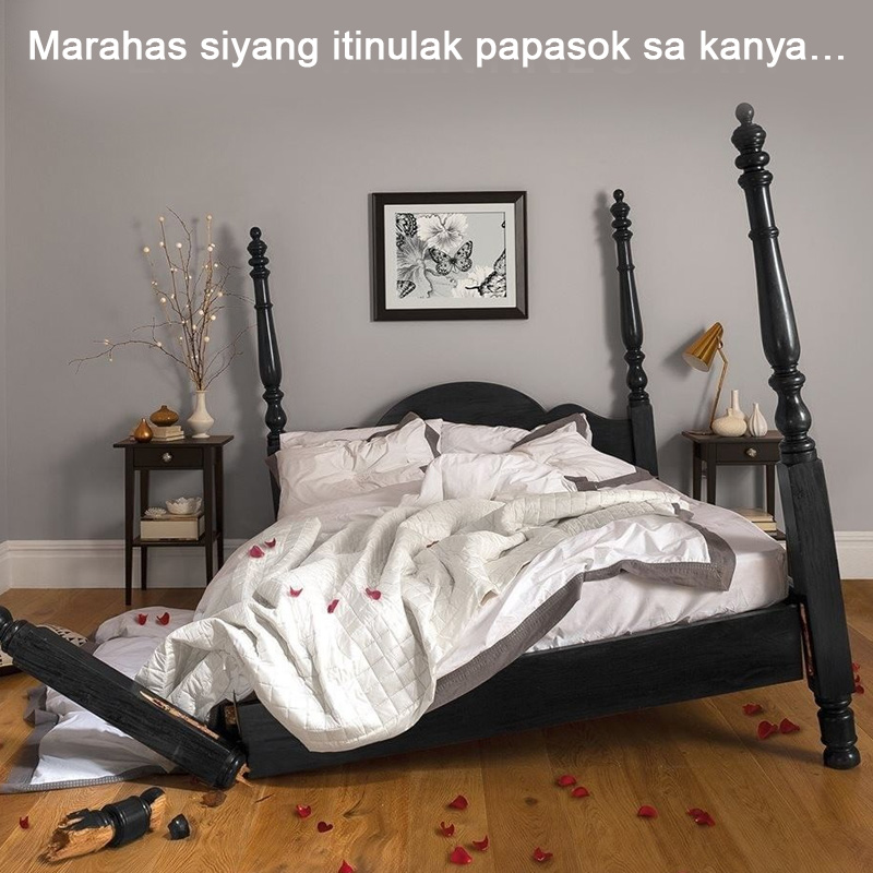 Dreamereads02 Facebook ad