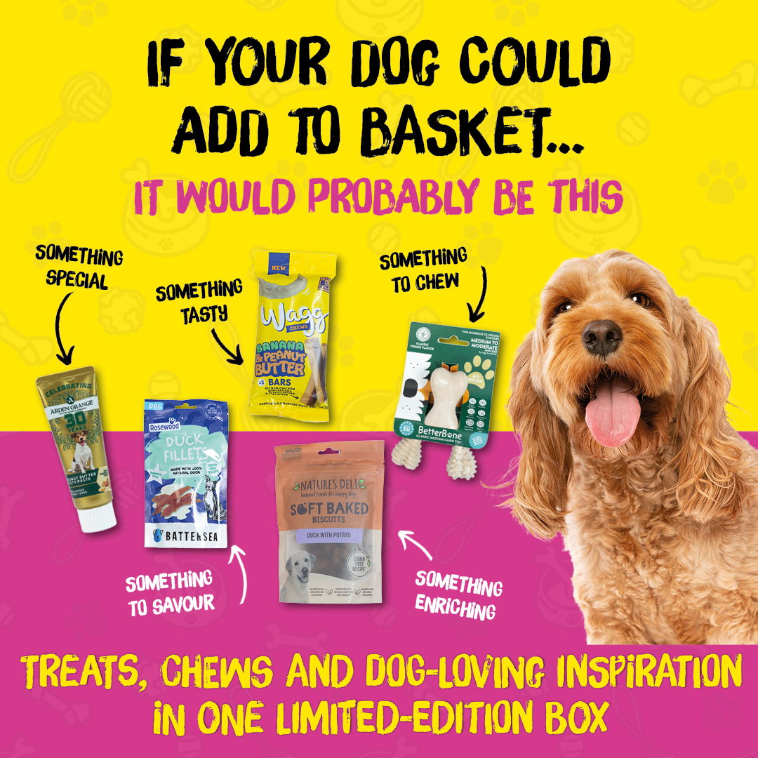 Your Dog Facebook ad: Their own delivery for £12.99