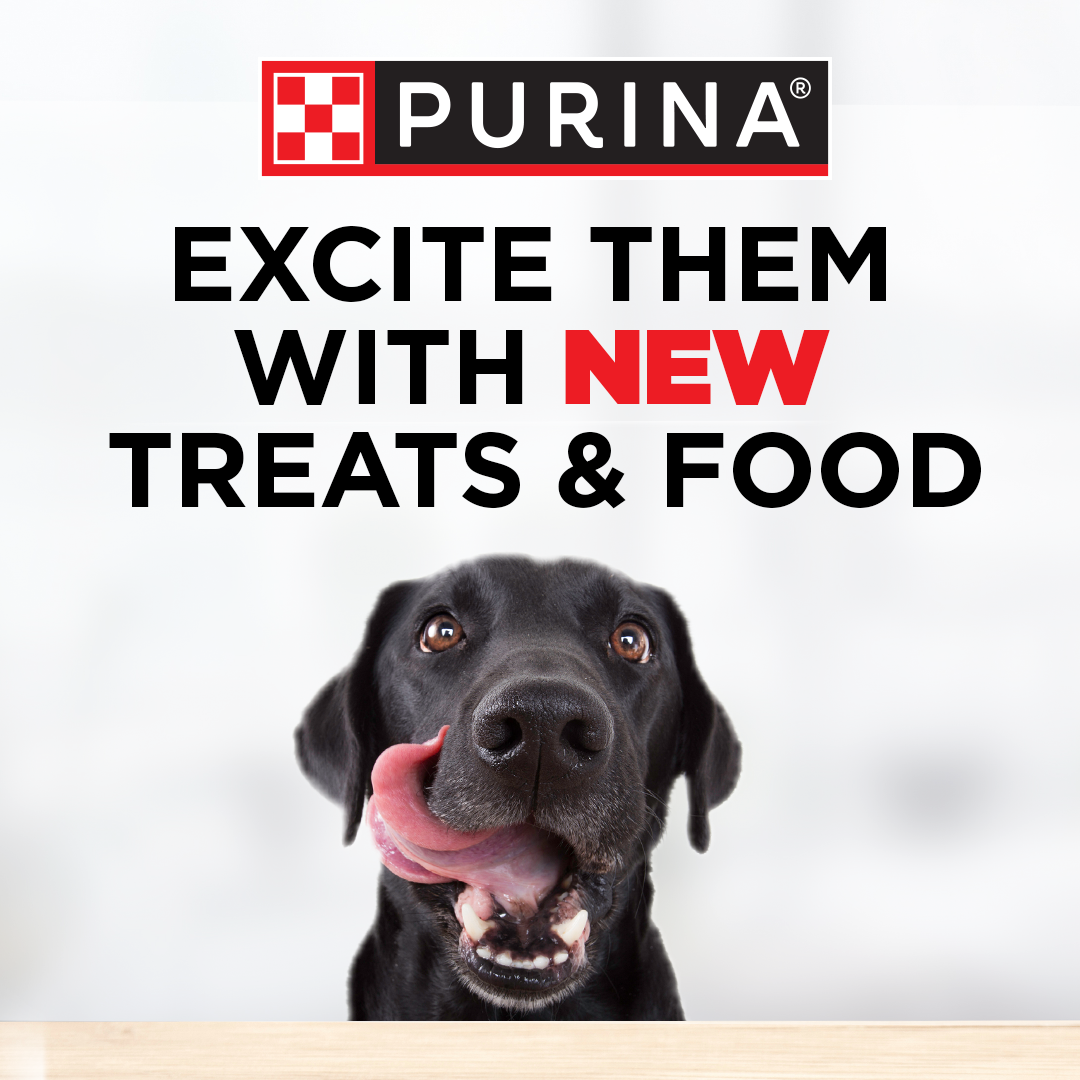 Meijer Facebook ad