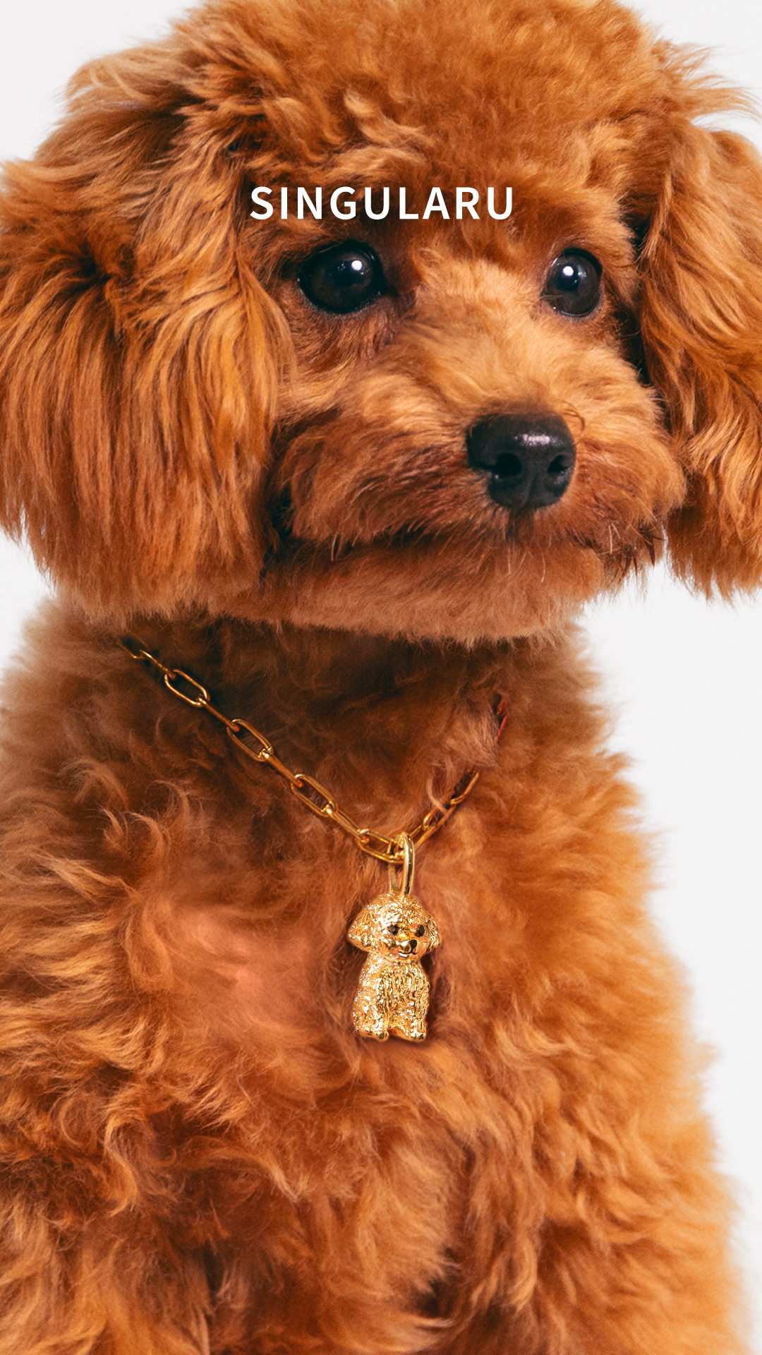 Singularu Jewels Facebook ad