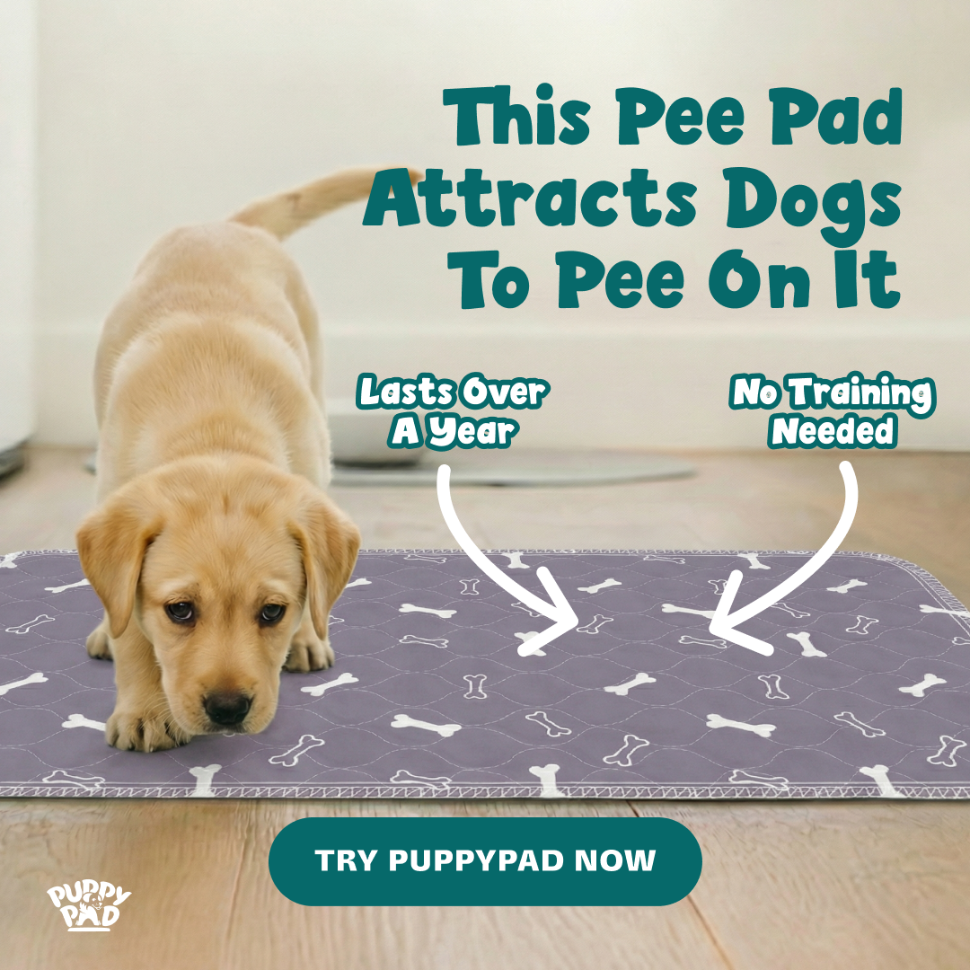 PuppyPad Facebook ad