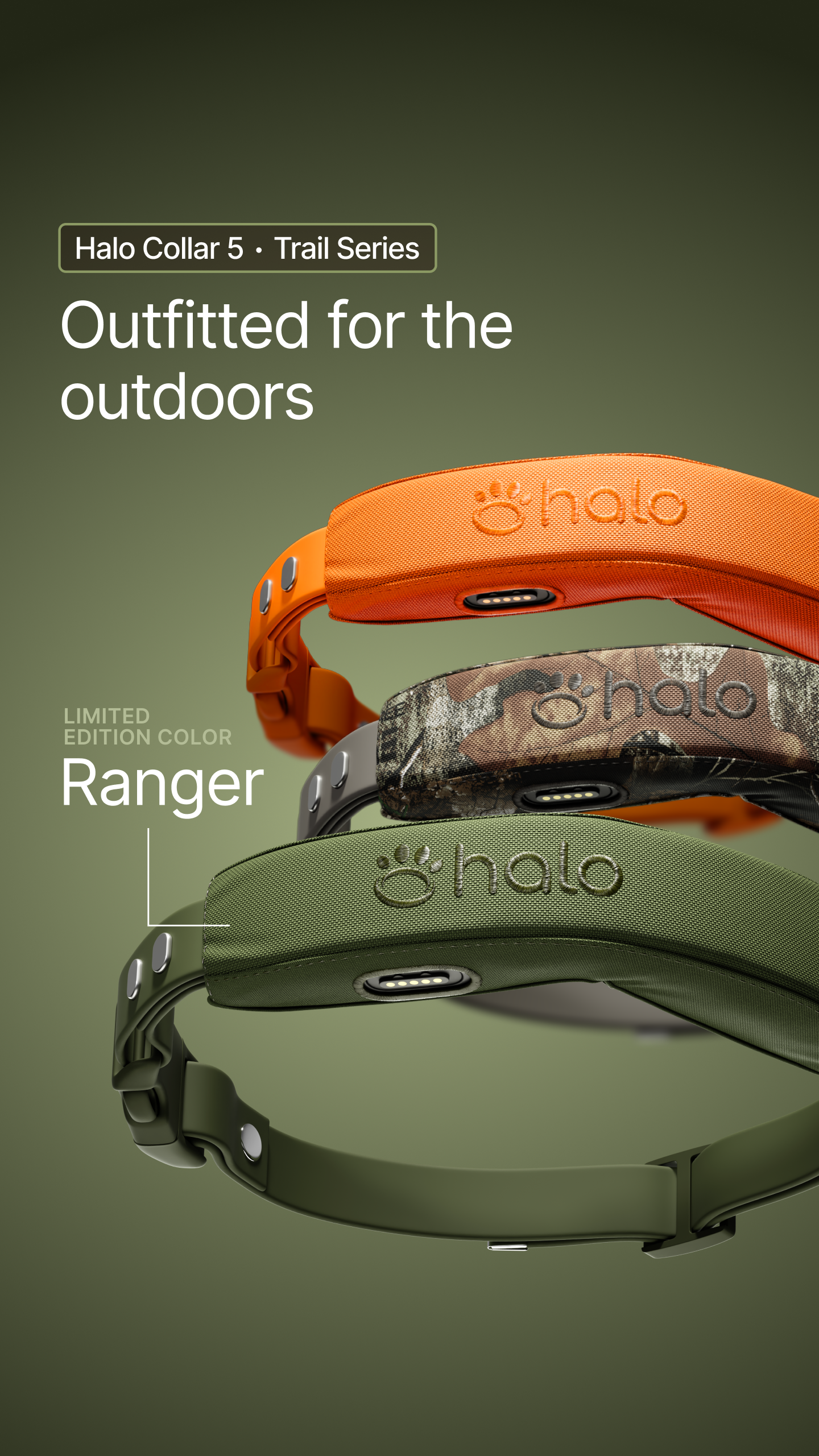 Halo Collar Facebook ad