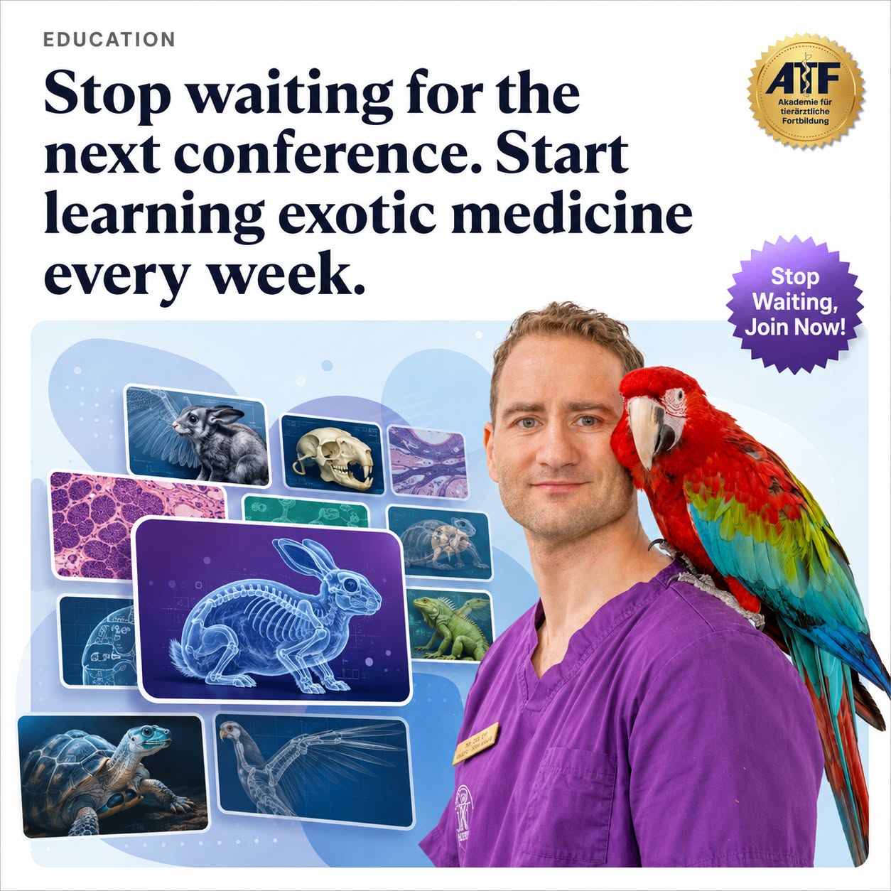 Maker School: AI Automation Facebook ad: Strengthen Your Exotic Medicine Skills
