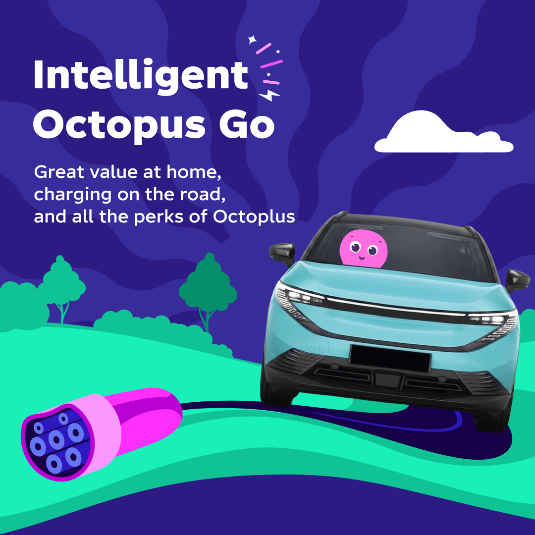 Octopus Energy Facebook ad