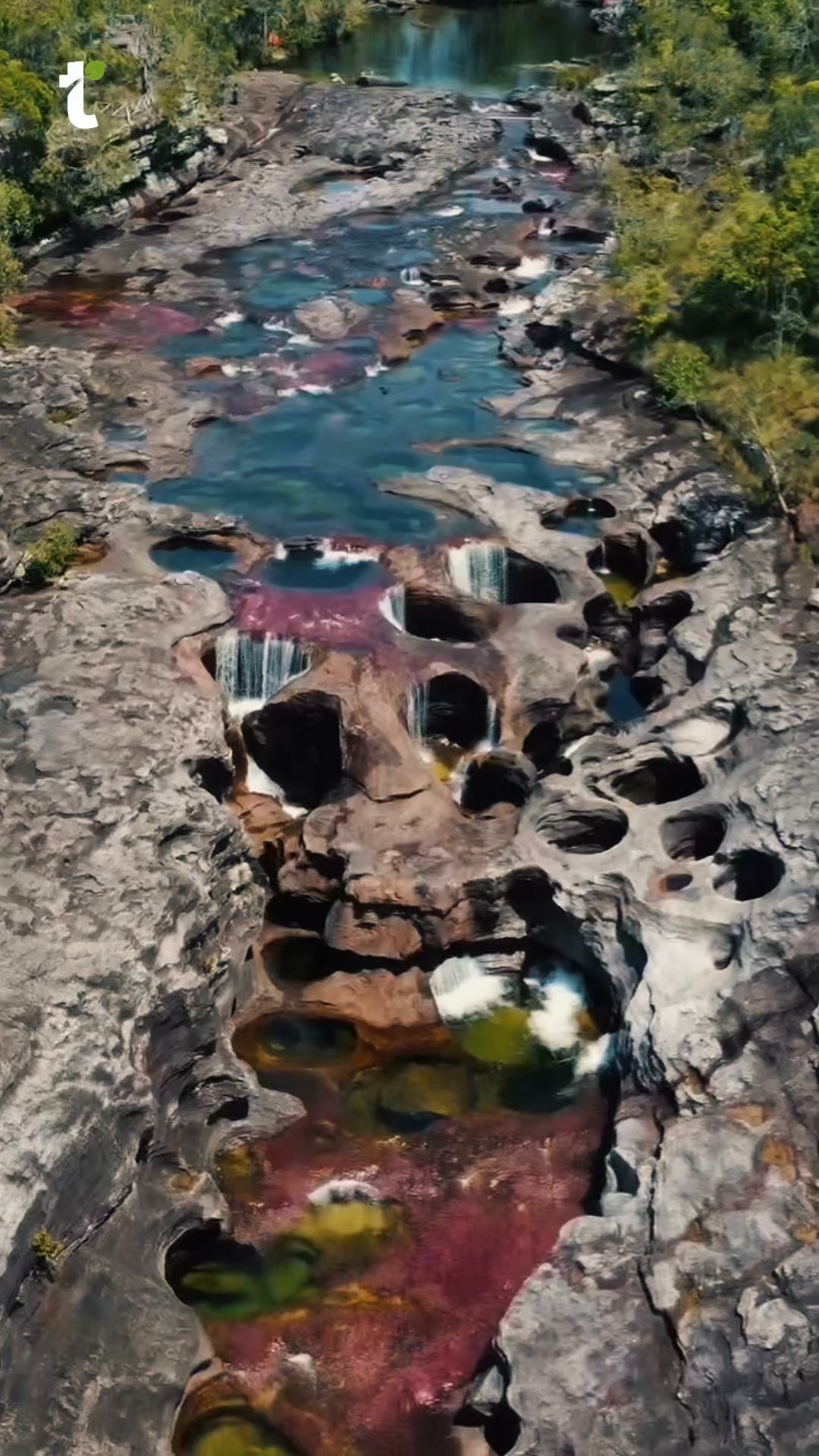 travelgreen.com.co Facebook ad: Vive Caño Cristales en 4x4