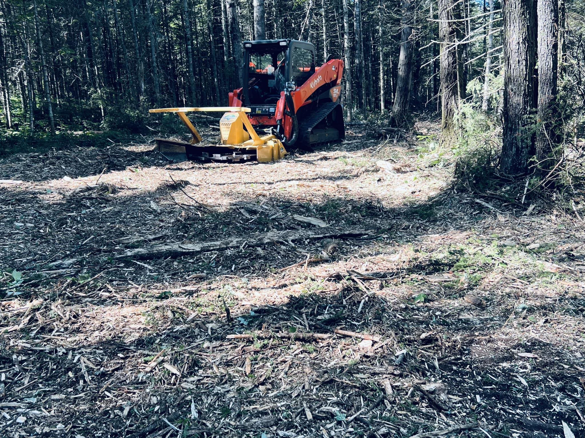 White Pine Forestry & Excavation Facebook ad: Forestry Mulching- Excavation- Landscaping