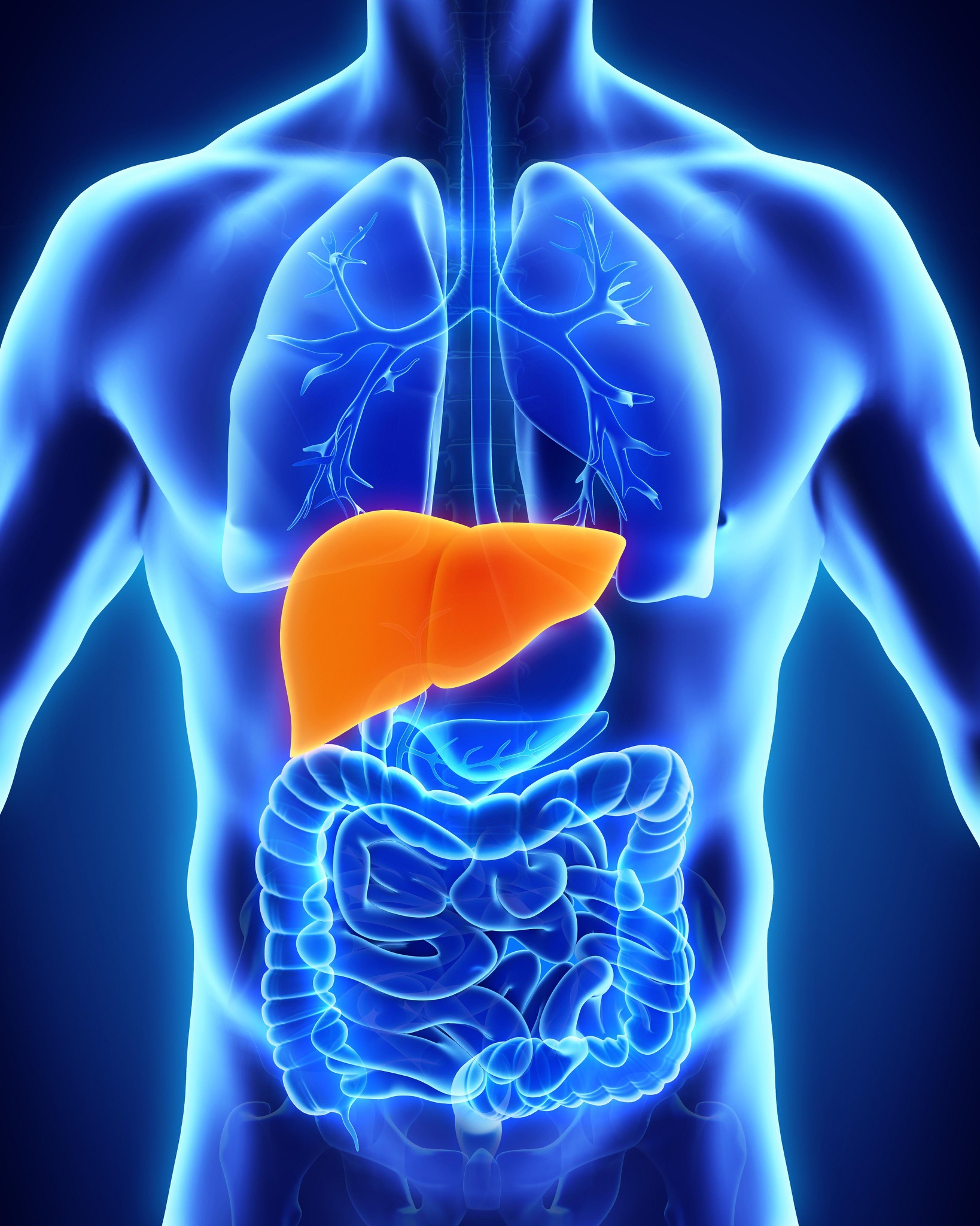 Dr. Cody Miller - Gastroenterologists Facebook ad