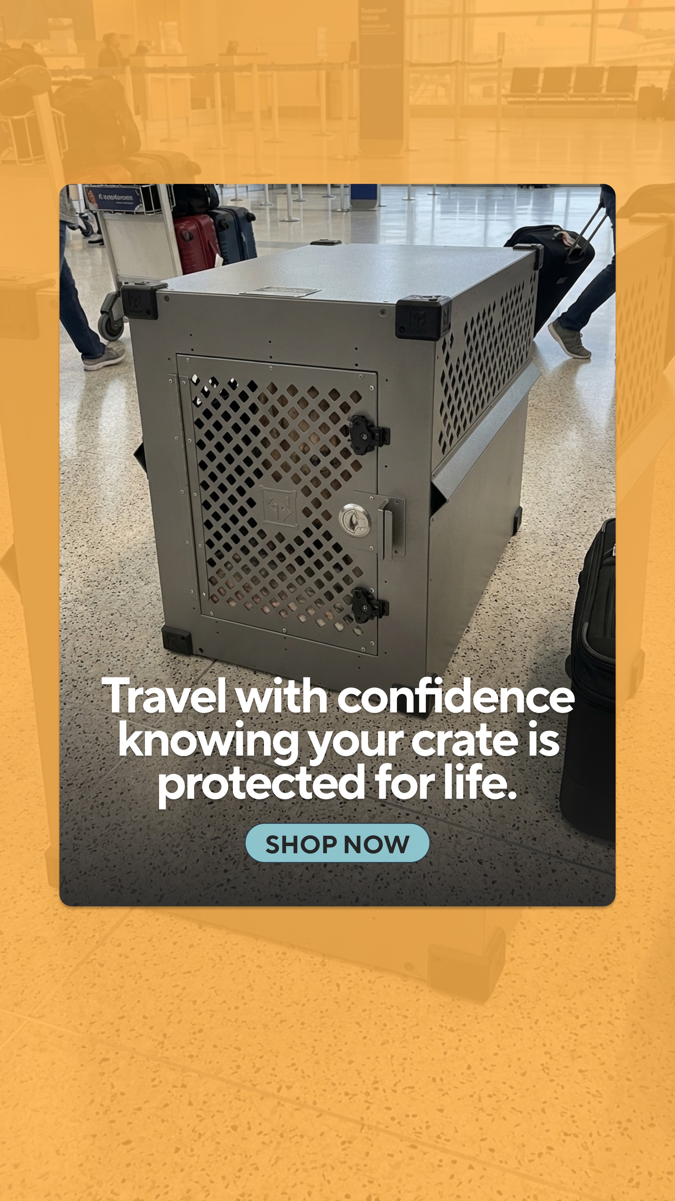 Impact Dog Crates Facebook ad