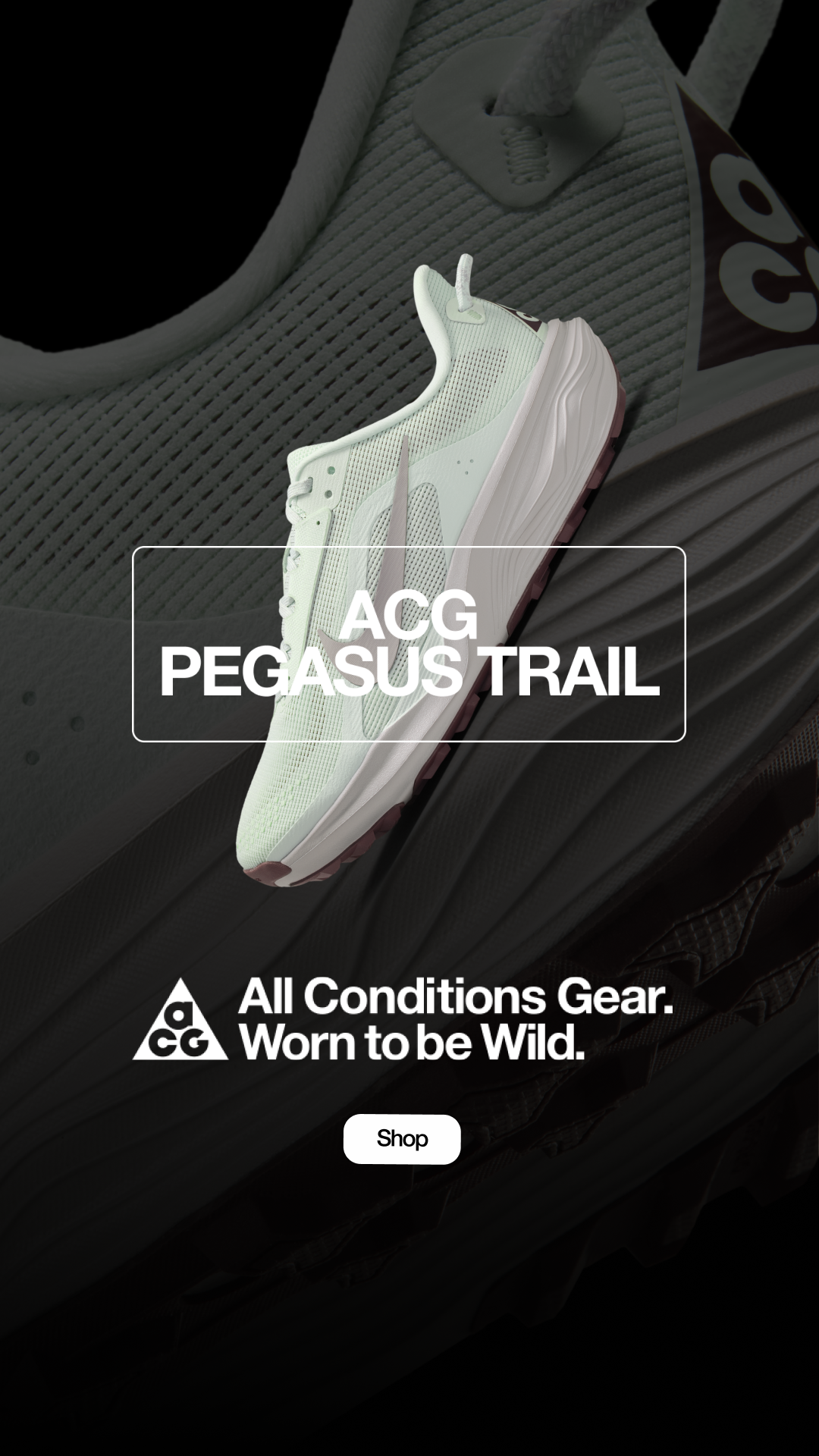 REI Facebook ad