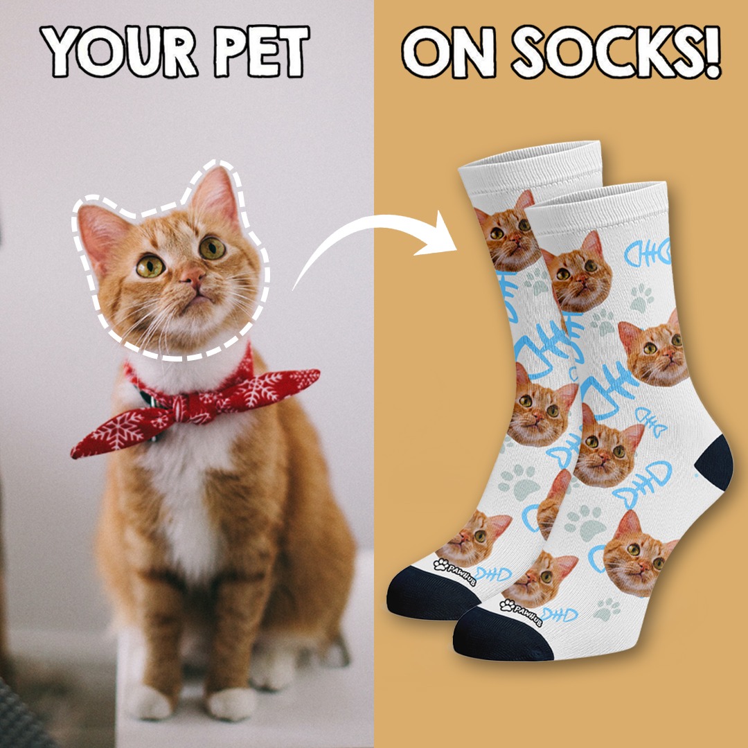 PawHub Facebook ad