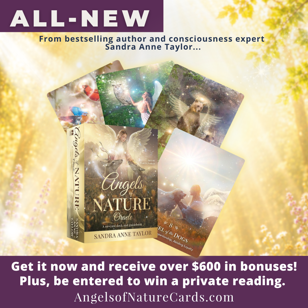 Sandra Anne Taylor Facebook ad from Jun 9, 2026