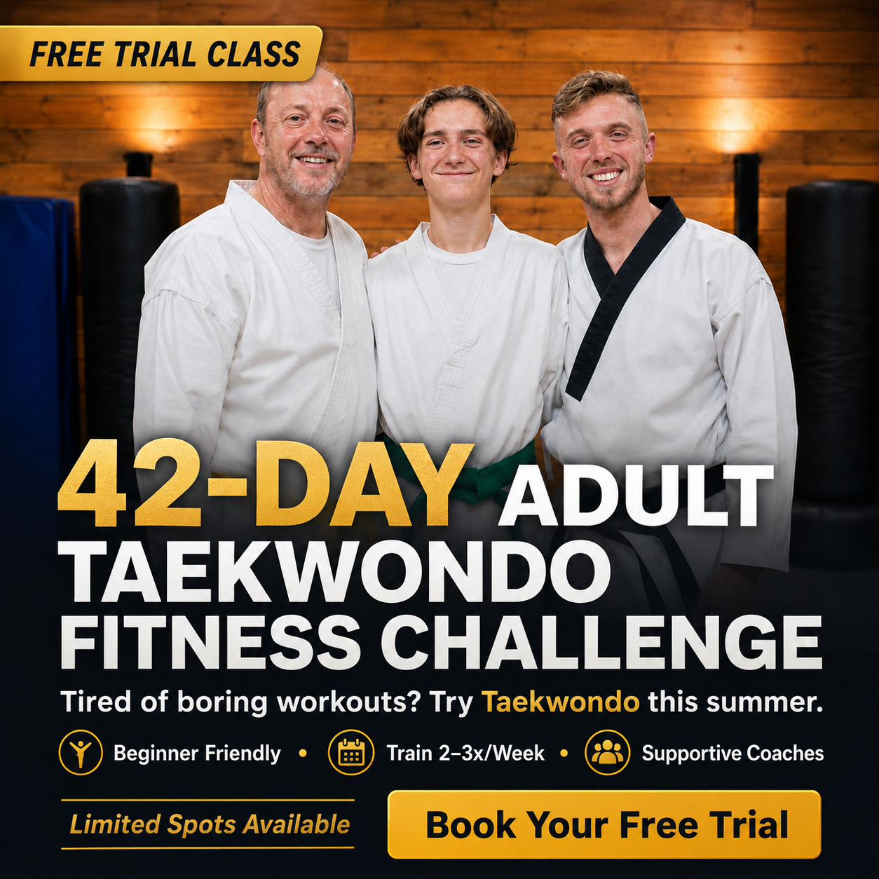Torvik Martial Arts Facebook ad