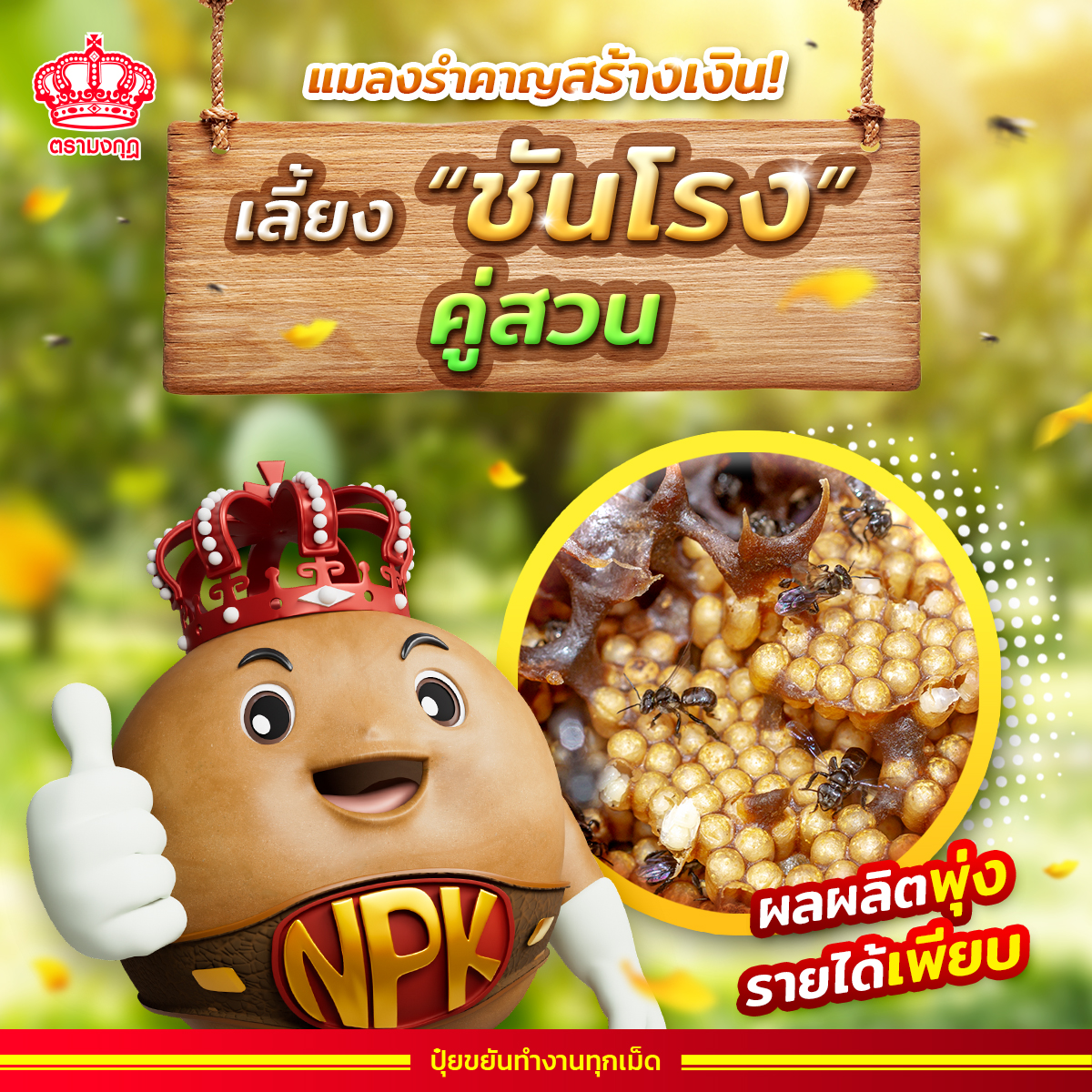 ปุ๋ยตรามงกุฎ Facebook ad