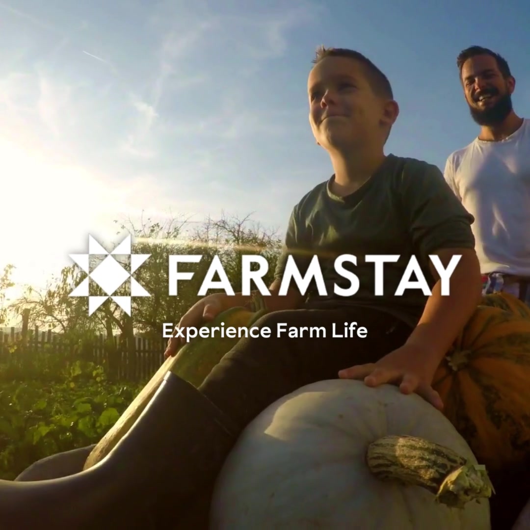 Farmstay Facebook ad: Find a farm stay here!