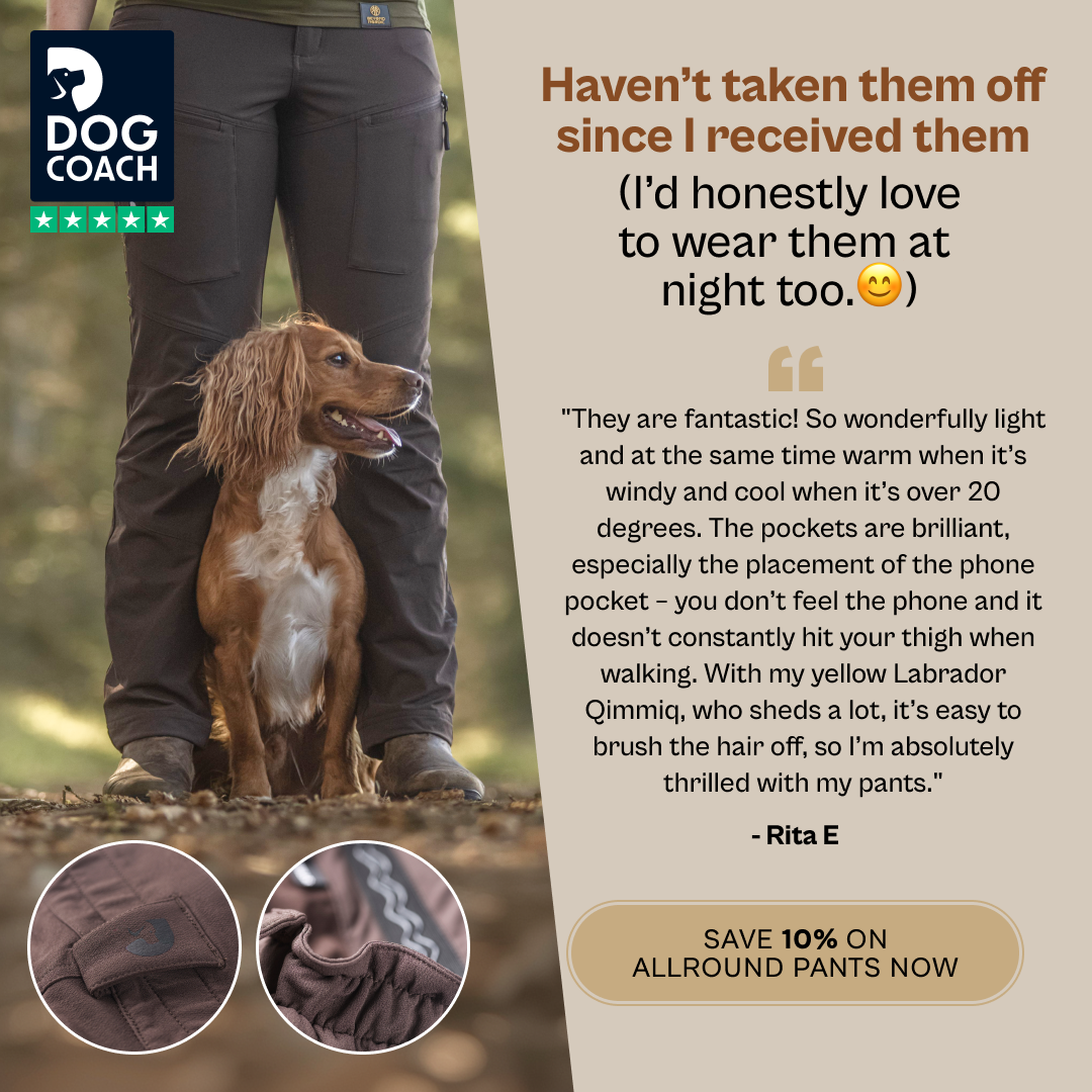 DogCoach Facebook ad