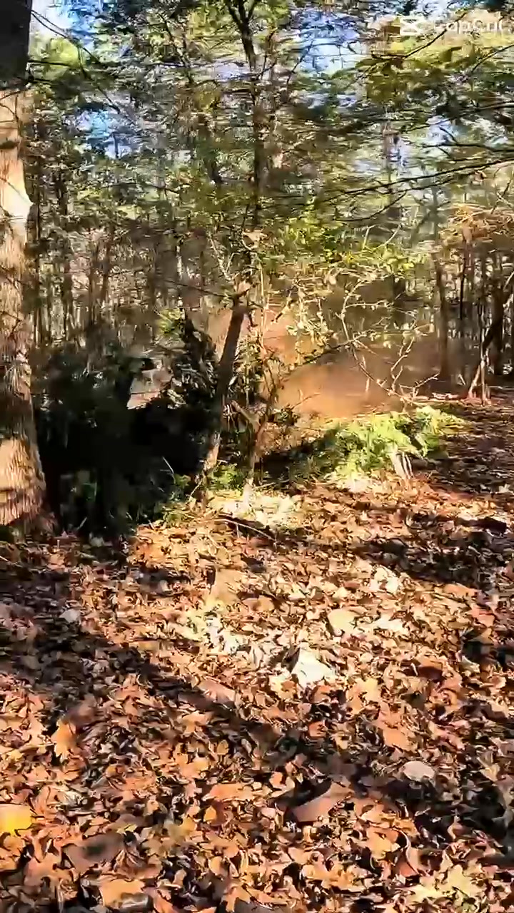 Titan Built Earthworks Facebook ad: Titan Built Earthworks Land Clearing & Forestry Mulching