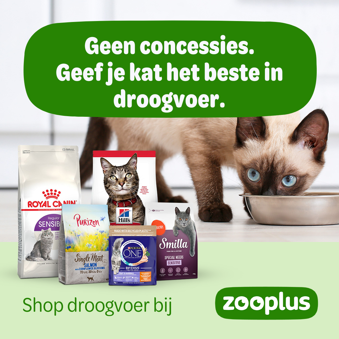 zooplus Facebook ad