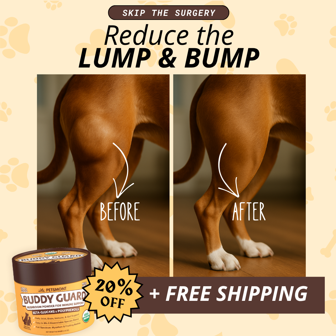 Petsmont Facebook ad