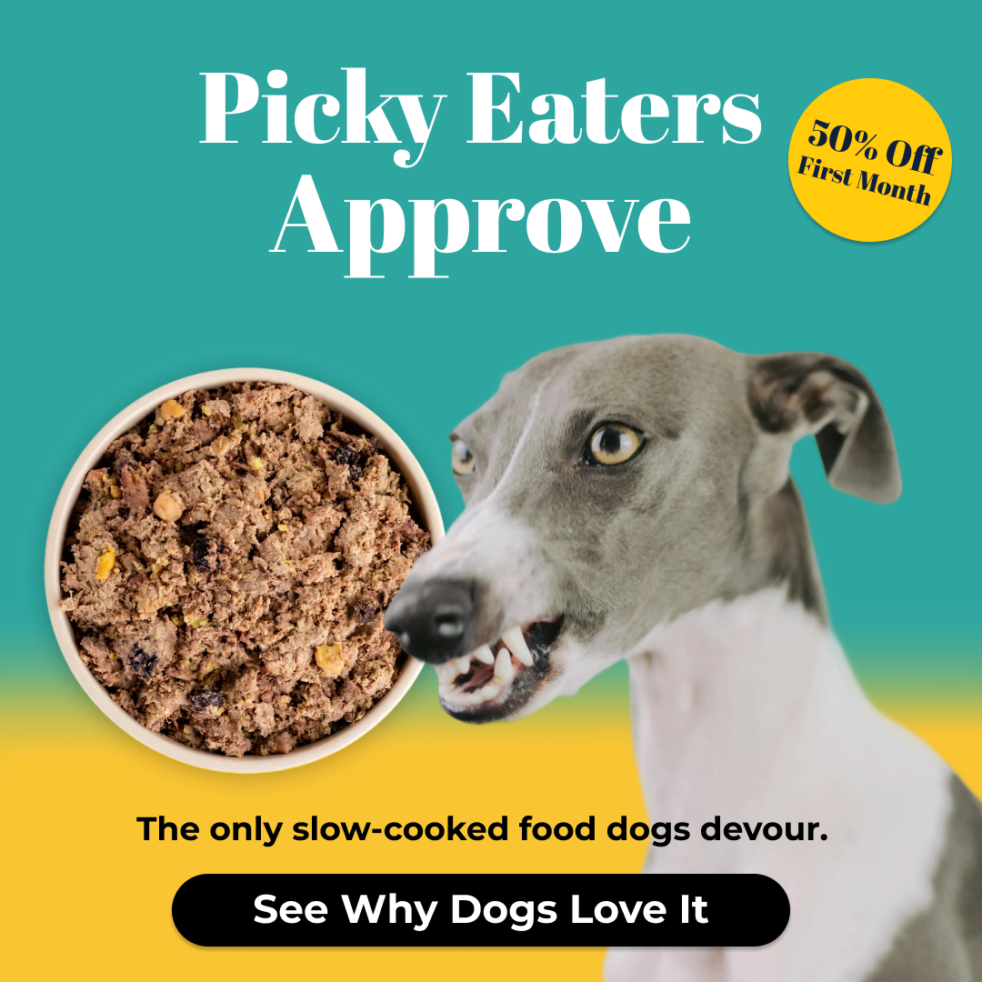 ButcherBox For Pets Facebook ad from Jan 6, 2026