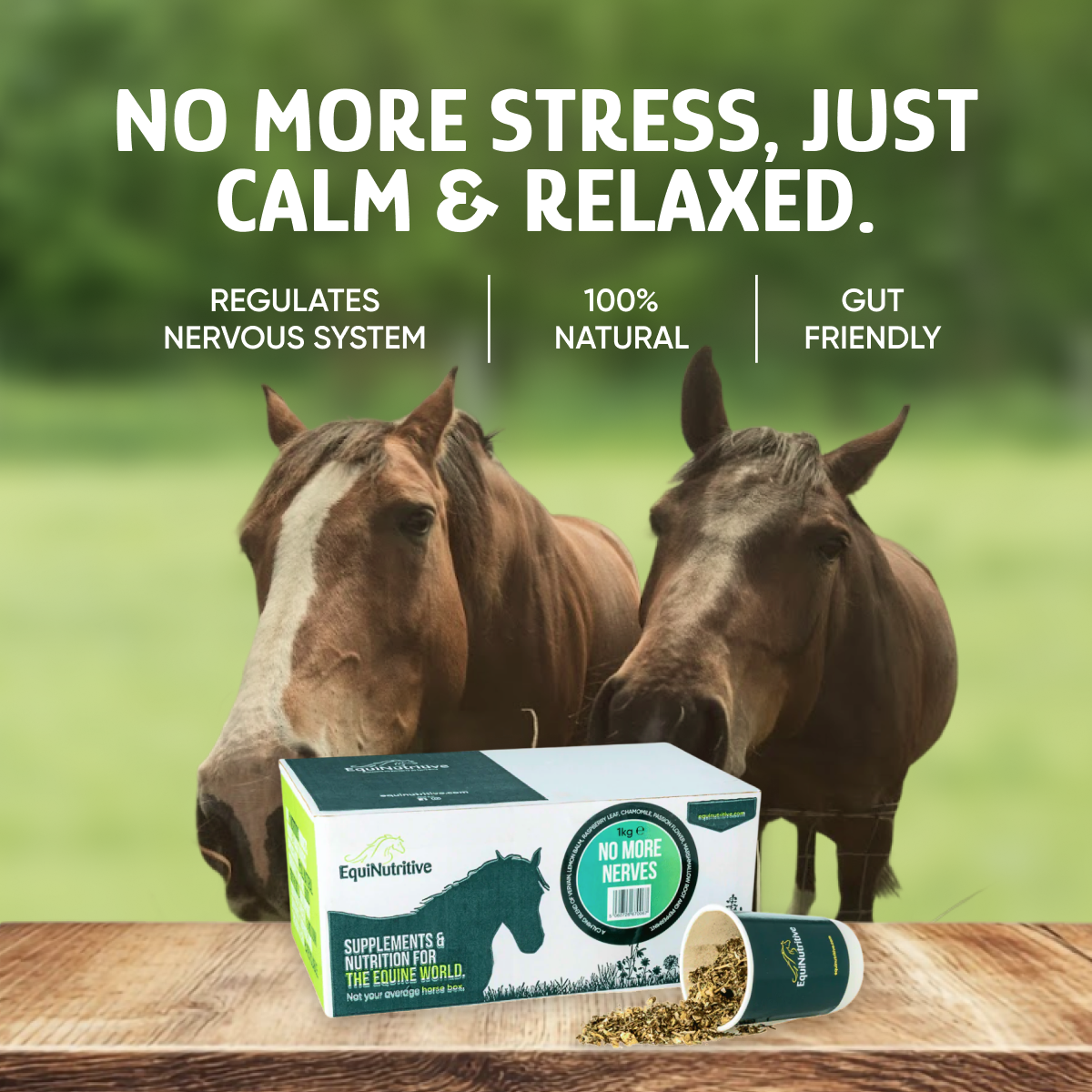 EquiNutritive Facebook ad