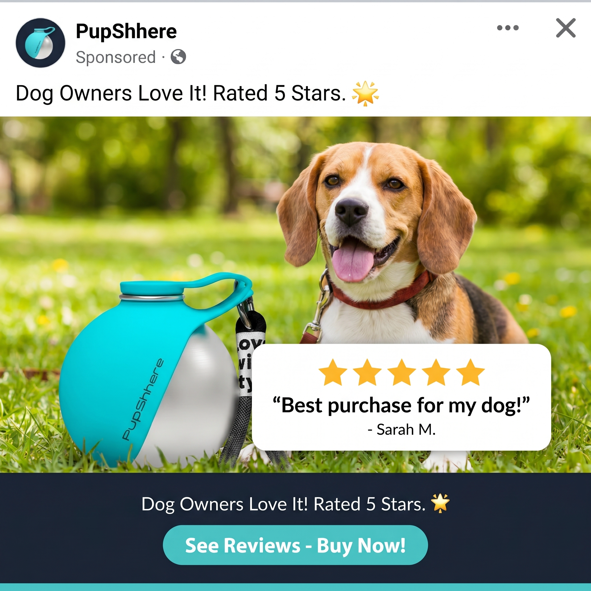 PupSphere Facebook ad: Hydrate Your Dog Anywhere, Instantly