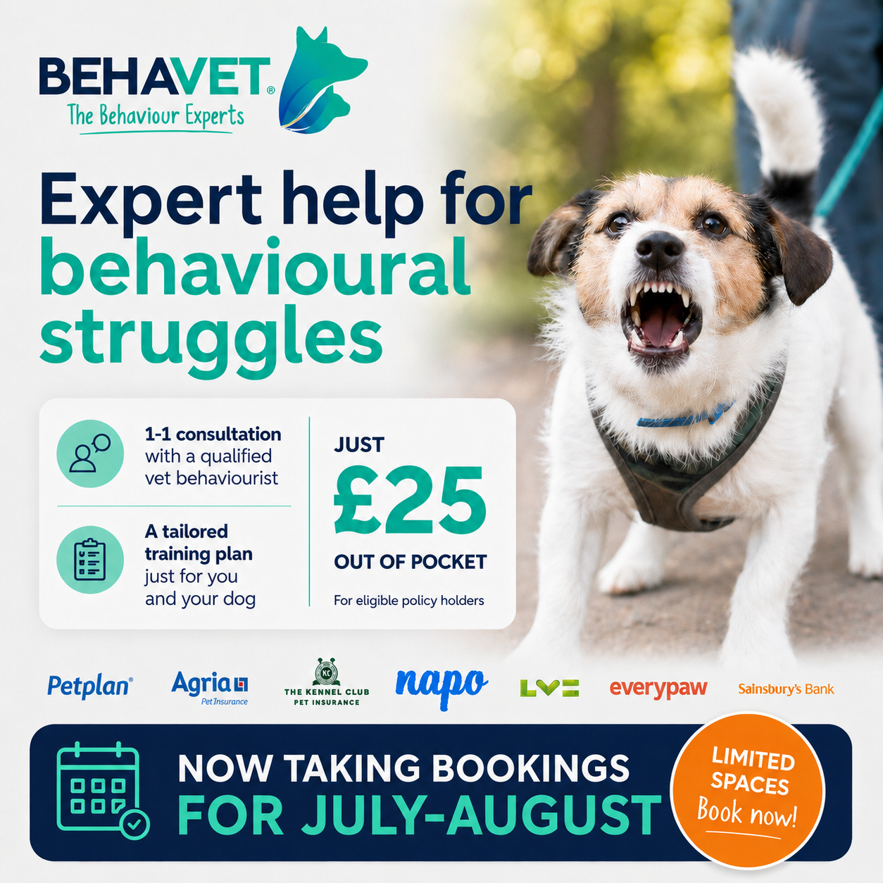 Behavet: The Pet Behaviour Experts Facebook ad