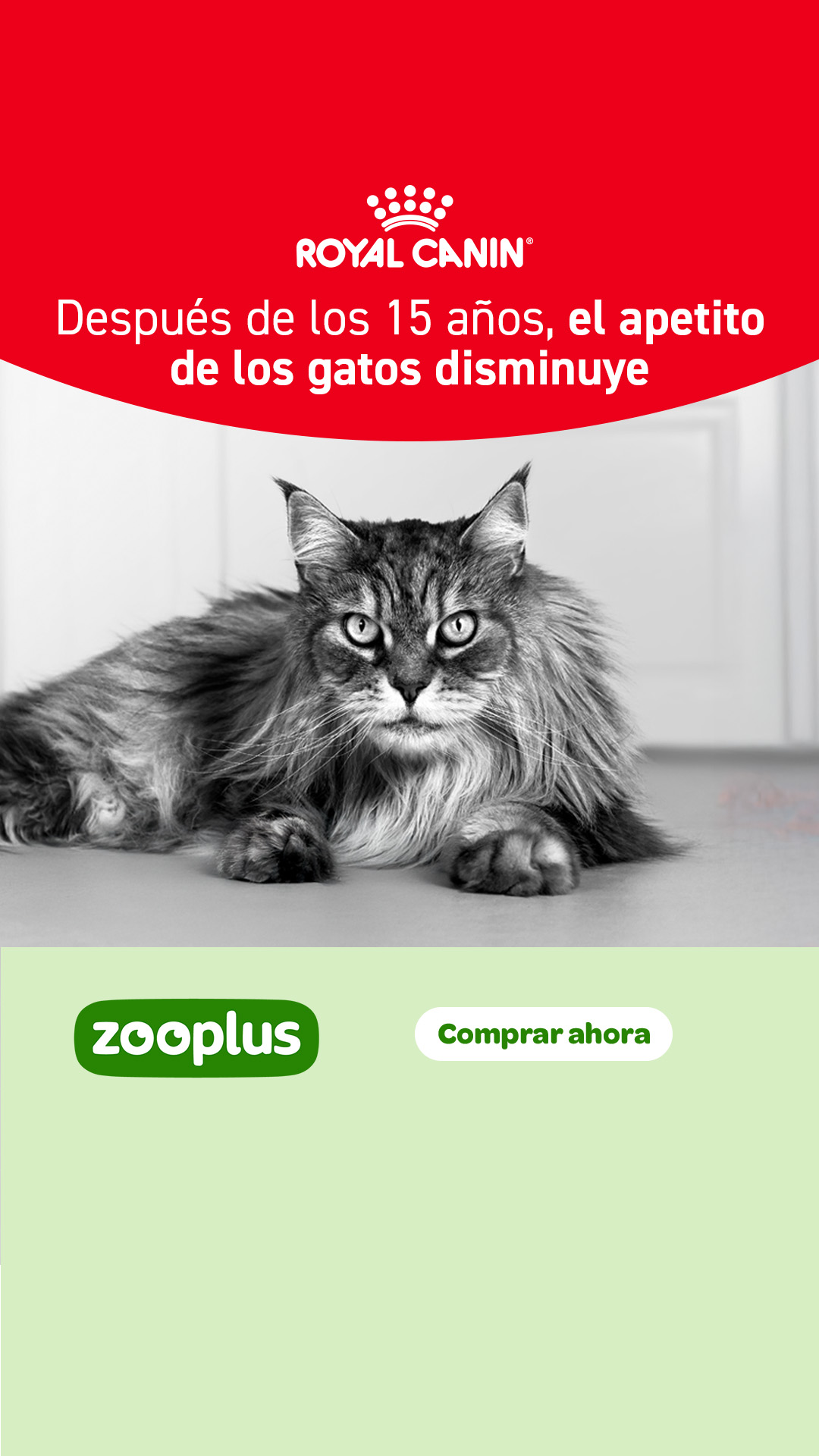 zooplus Facebook ad from Jul 29, 2026