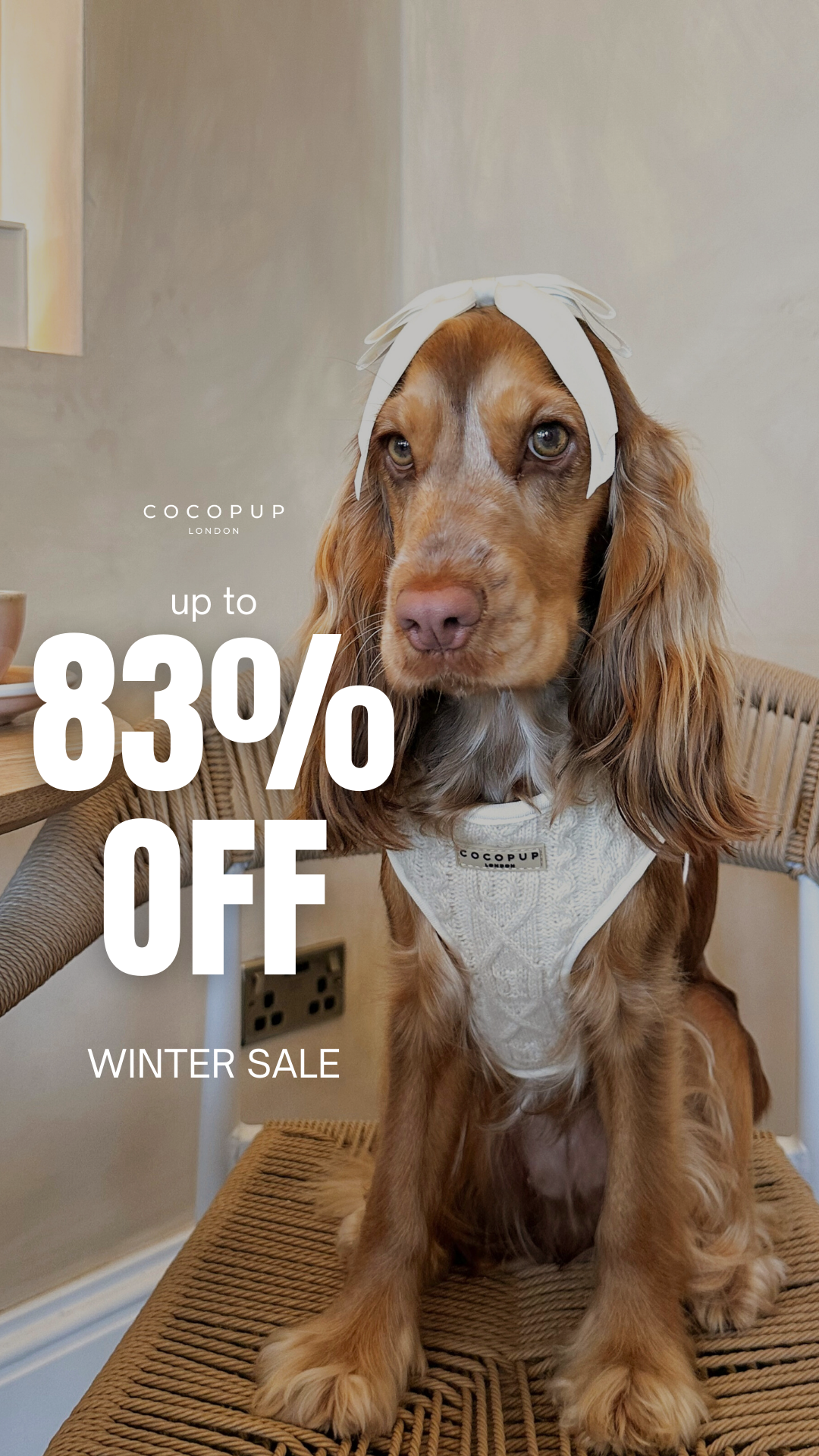 Cocopupuk Facebook ad