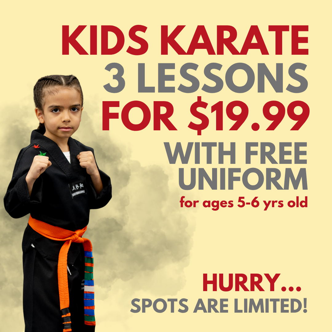 AmeriKick Martial Arts - Staten Island Facebook ad