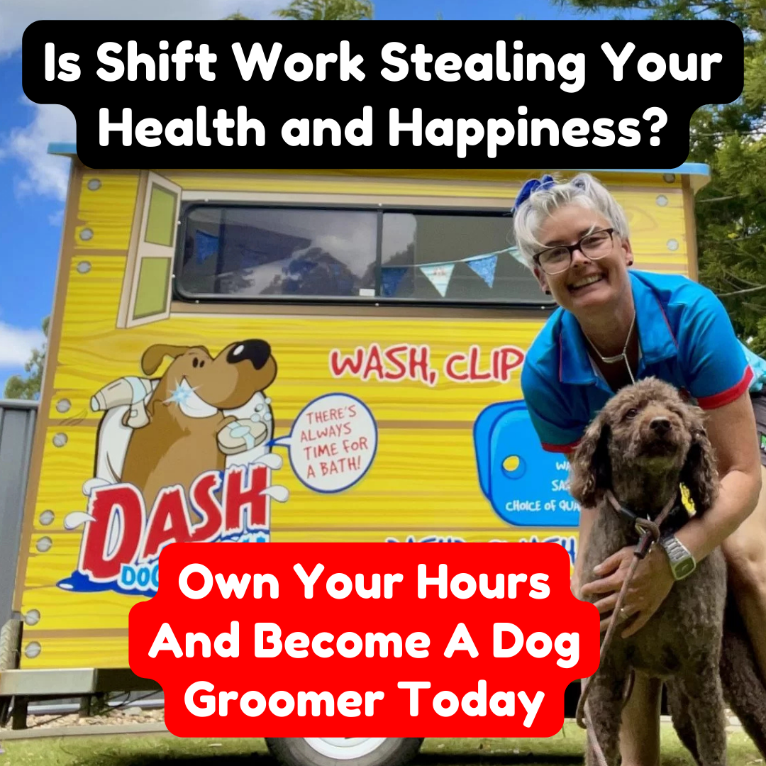 Dash DogWash Facebook ad