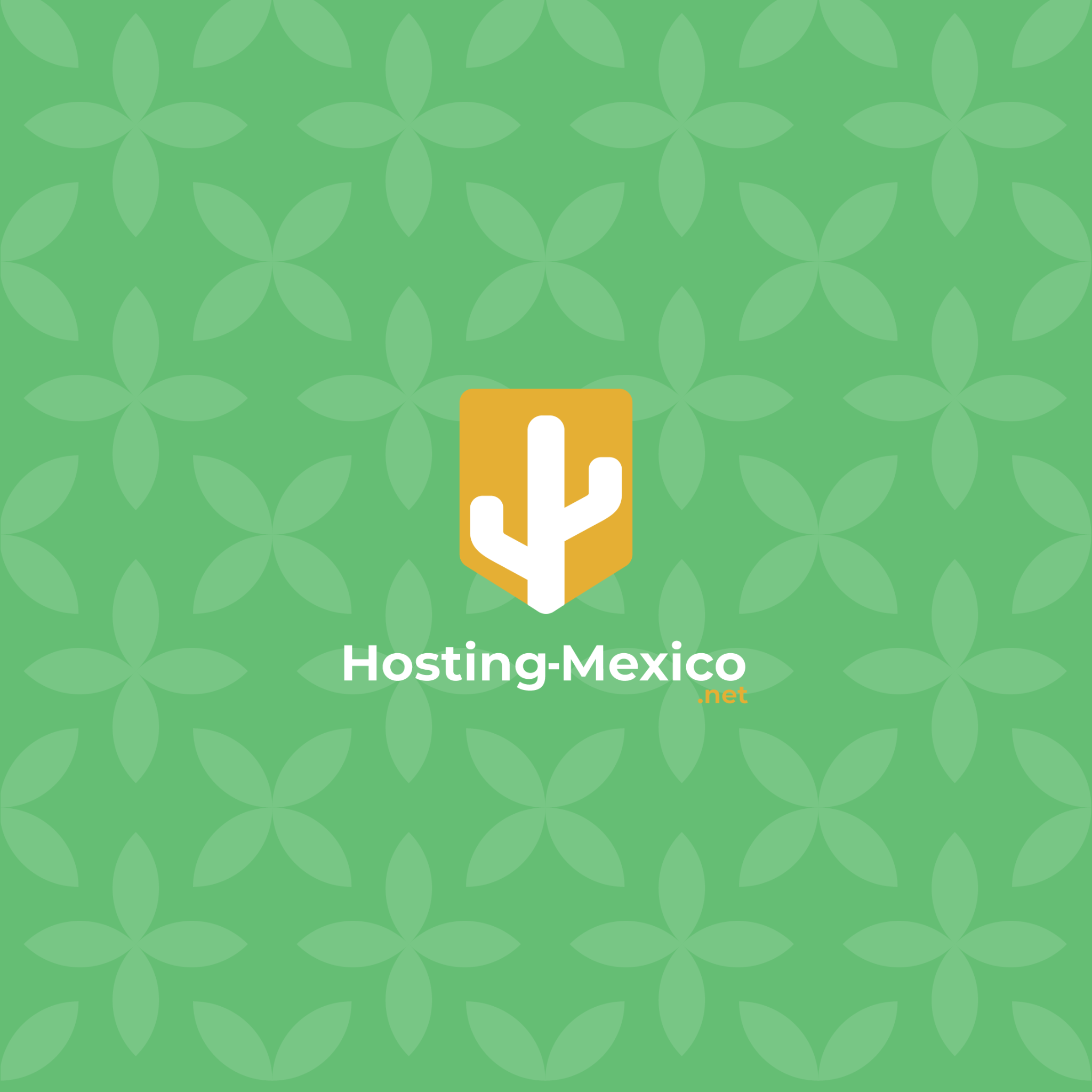 Hosting-Mexico.NET Facebook ad