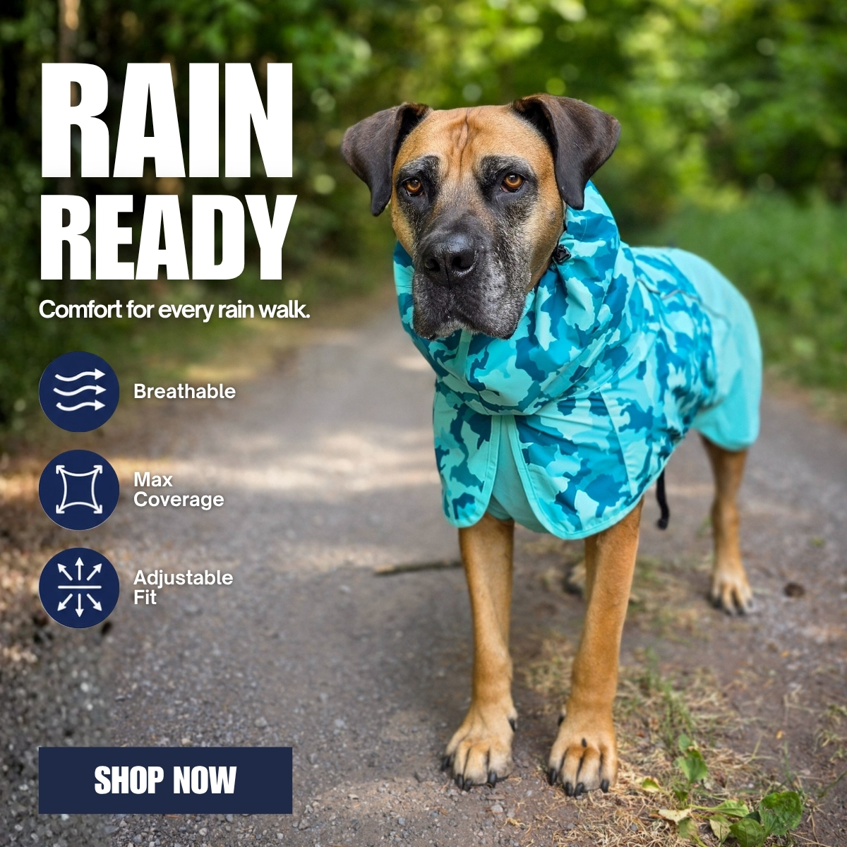 Spark Paws Facebook ad