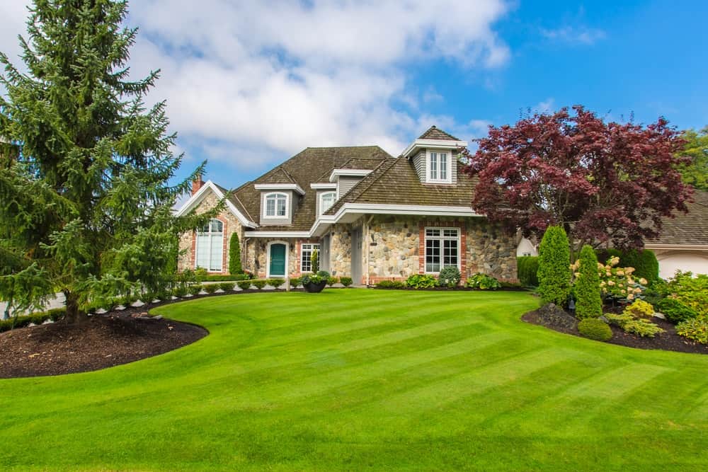 Hill County Property Services Facebook ad: Top dressing and Seeding