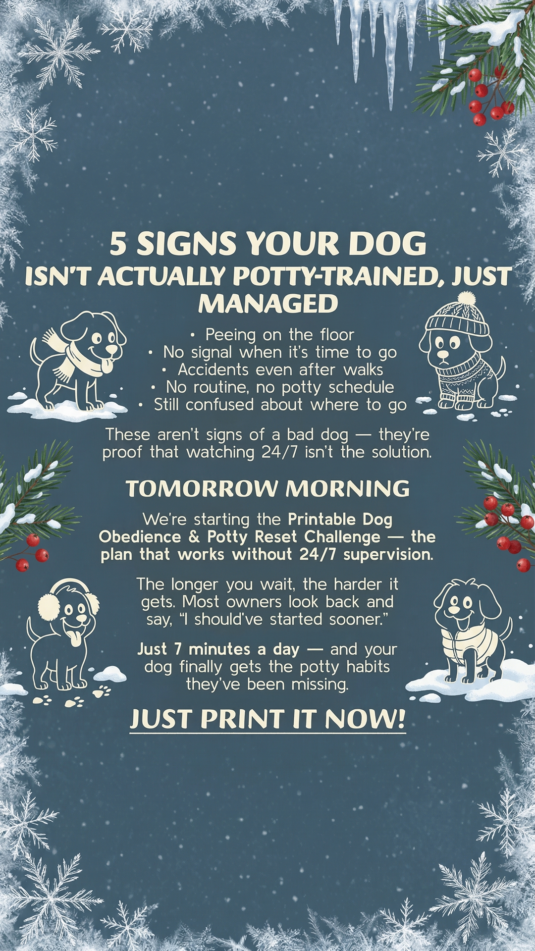 PawChamp Facebook ad