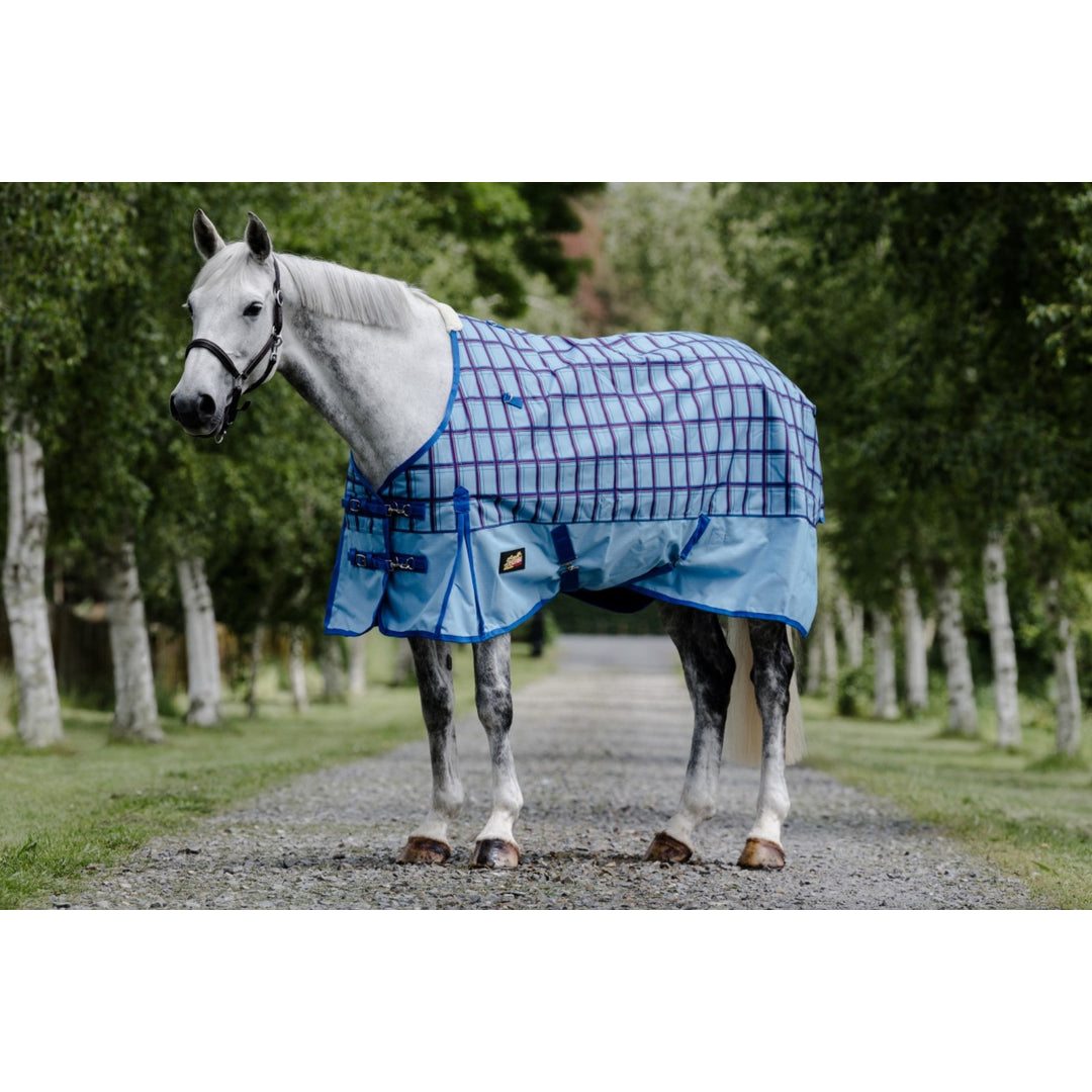 NZ Tack Saddlery Co Facebook ad