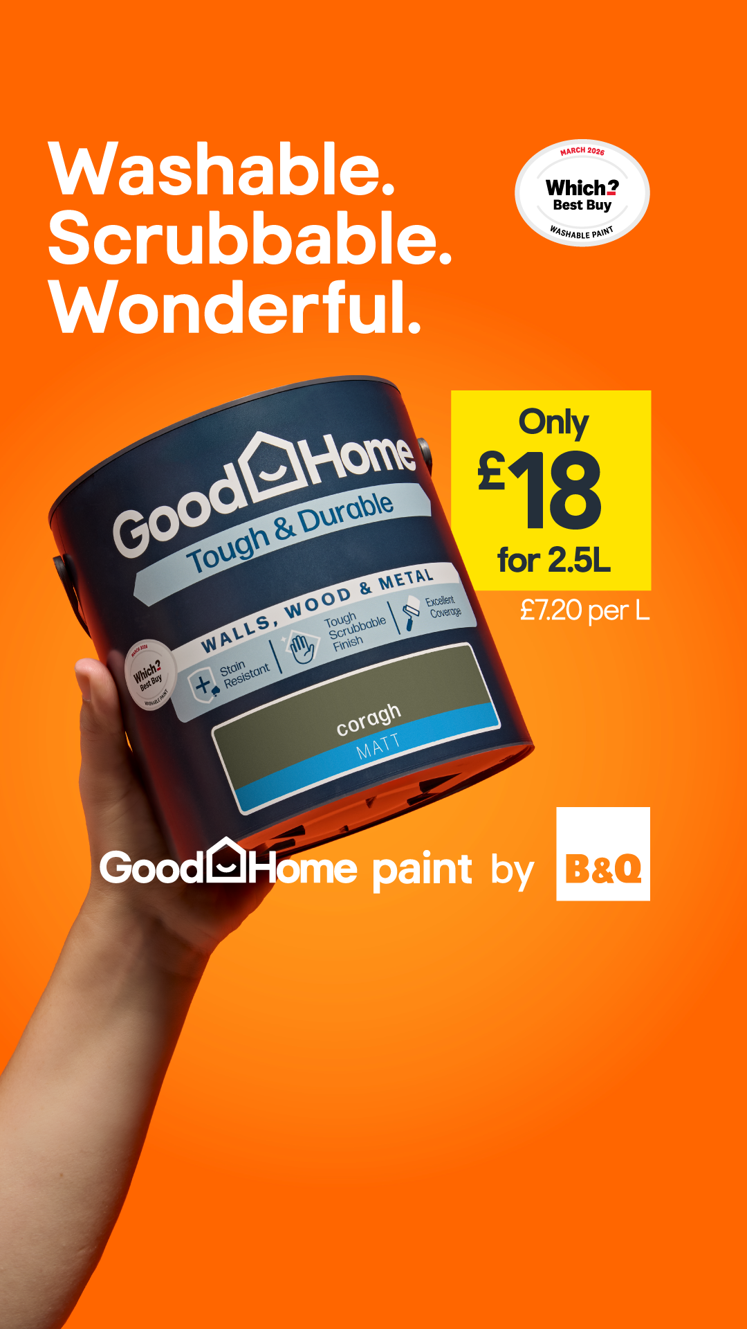 B&Q Facebook ad: GoodHome Paint by B&Q