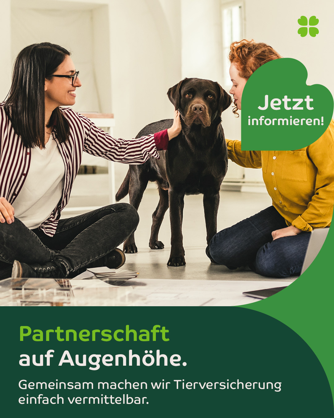 Uelzener Versicherungen für Vertriebspartner Facebook ad: Werde jetzt Vertriebspartner!