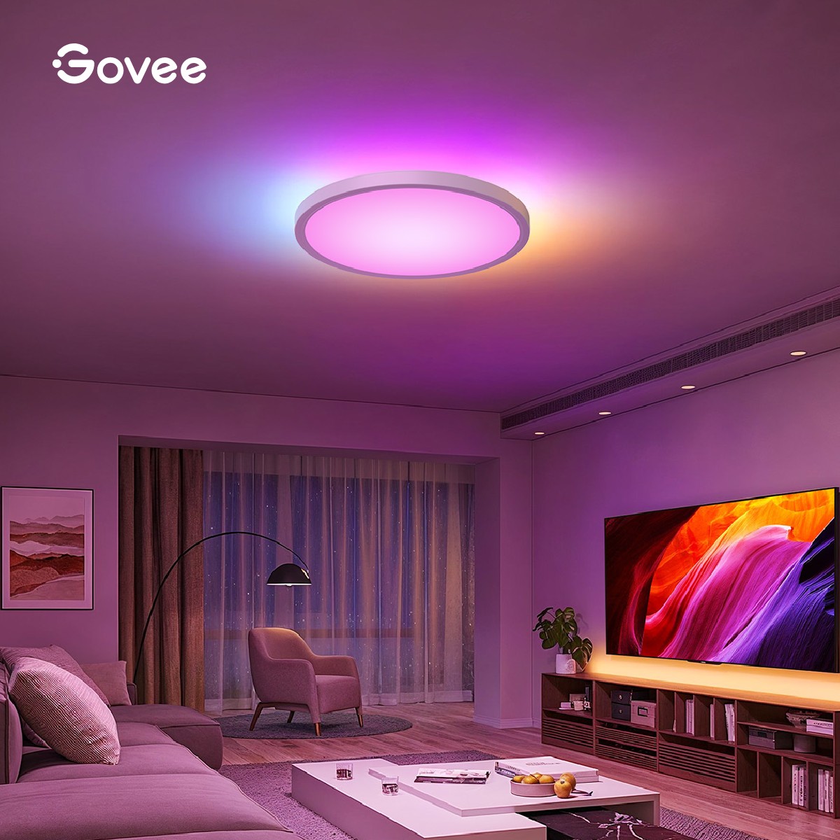 GOVEE Facebook ad