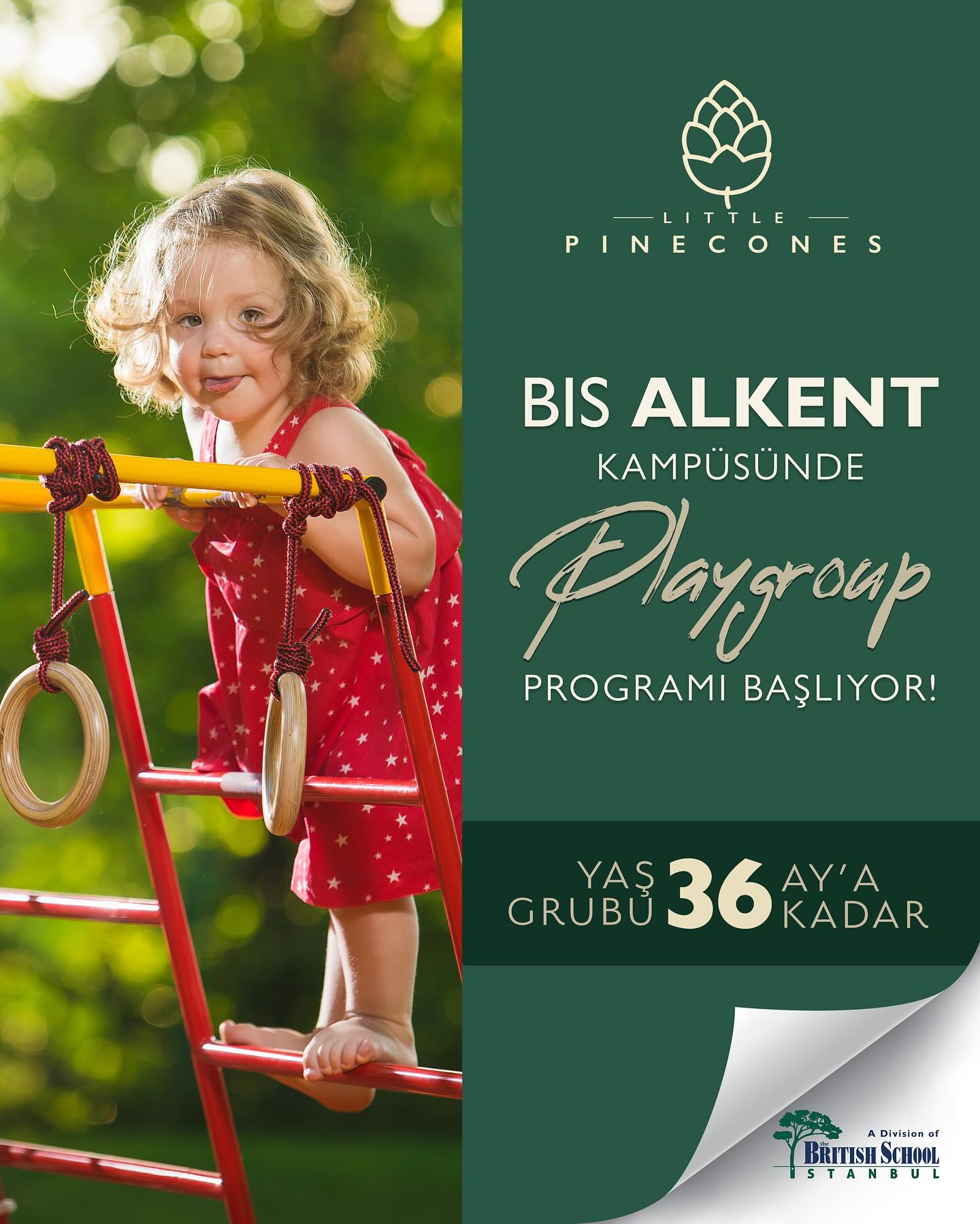 BIS Schools Alkent Facebook ad