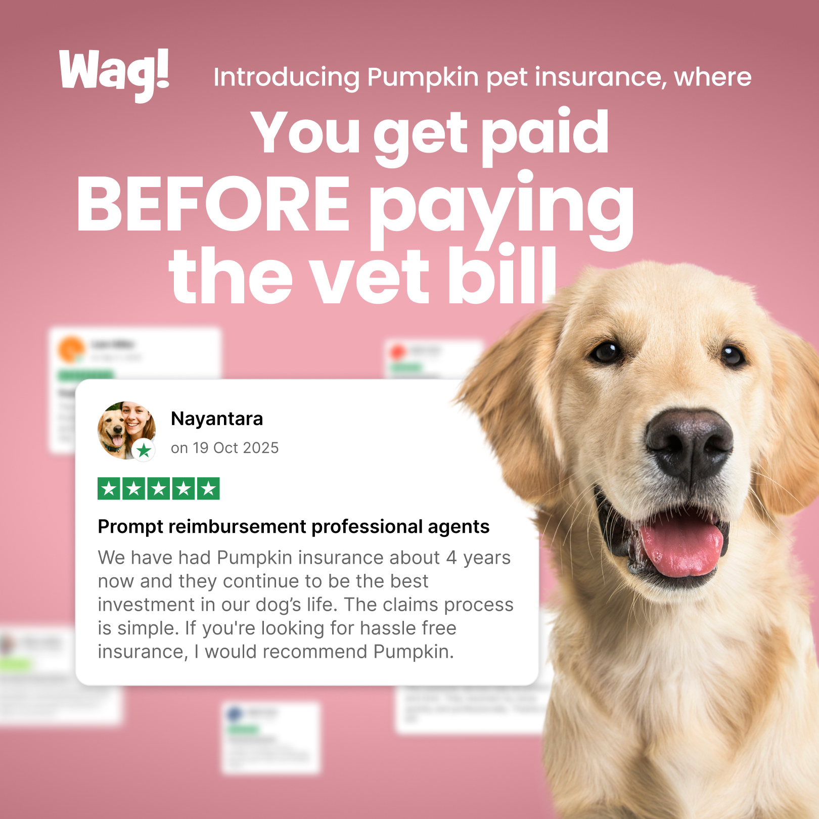 Wag Facebook ad