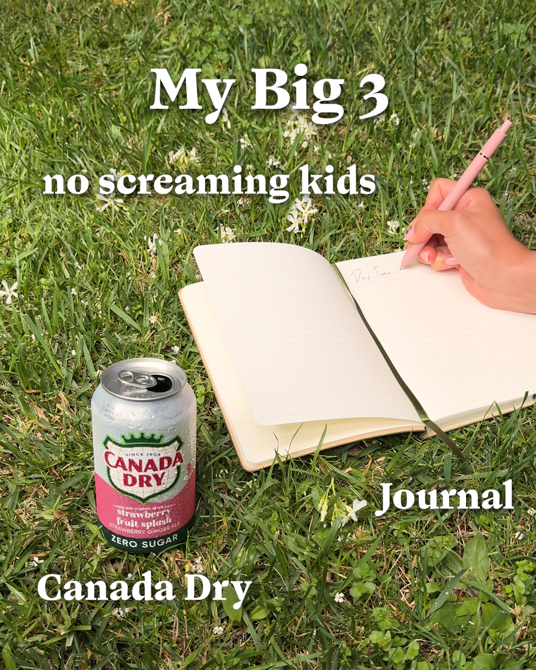 Canada Dry Facebook ad