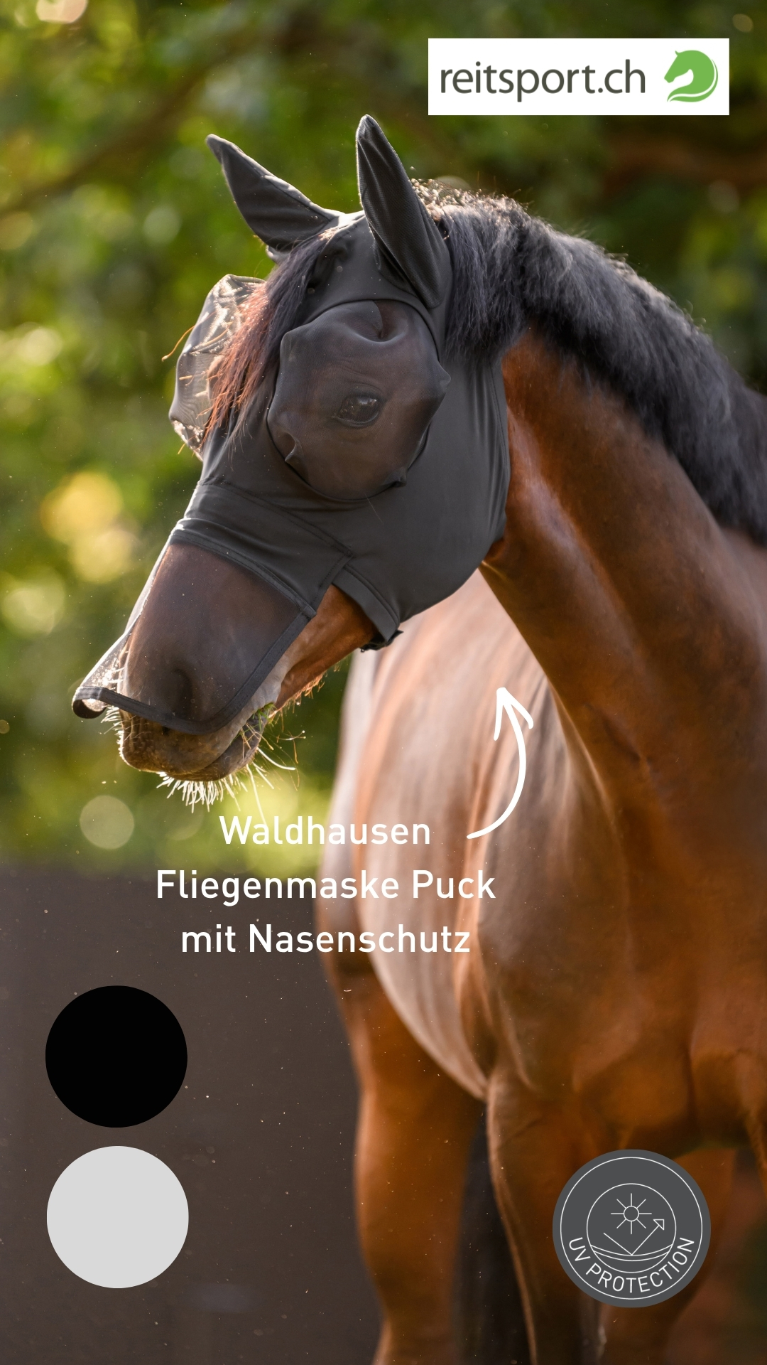 Waldhausen Facebook ad from Jun 12, 2026
